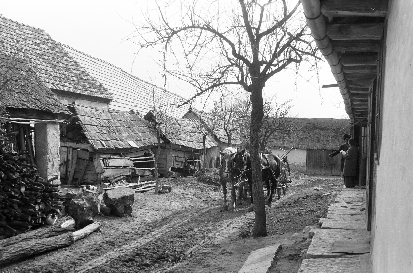 Magyarország, 1968, Gazda Anikó, Fortepan #307784