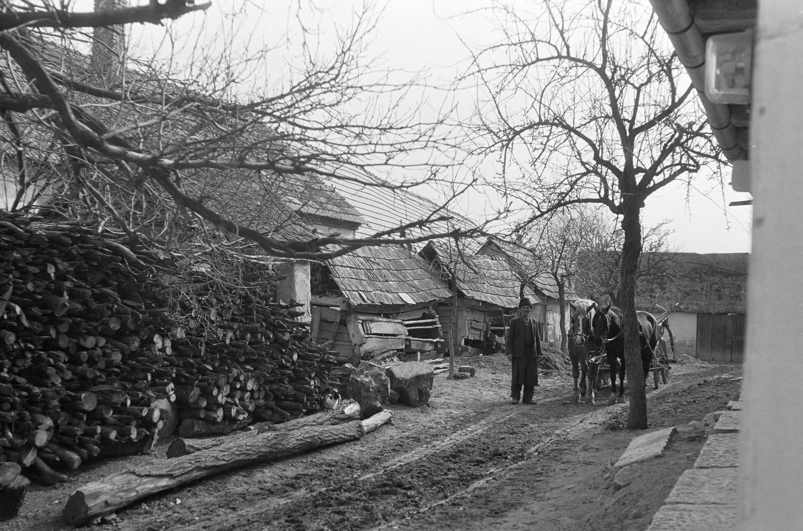 Magyarország, 1968, Gazda Anikó, Fortepan #307785