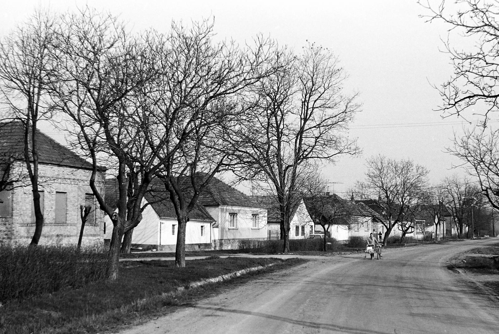 Magyarország, 1968, Gazda Anikó, Fortepan #307787