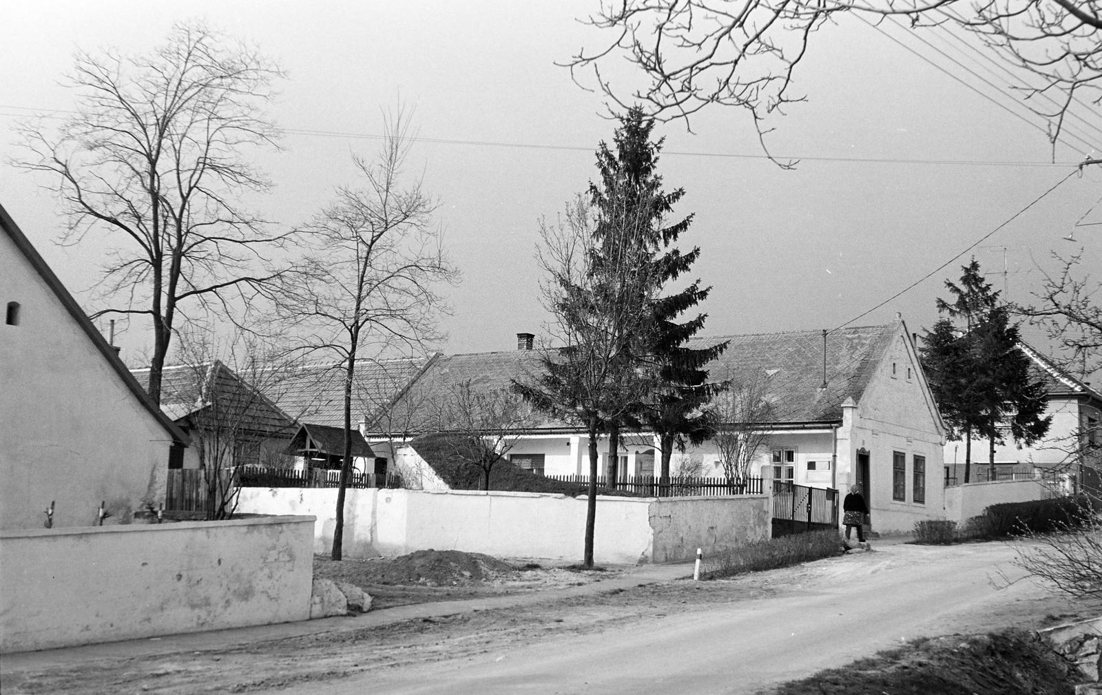 Hungary, 1968, Gazda Anikó, Fortepan #307788