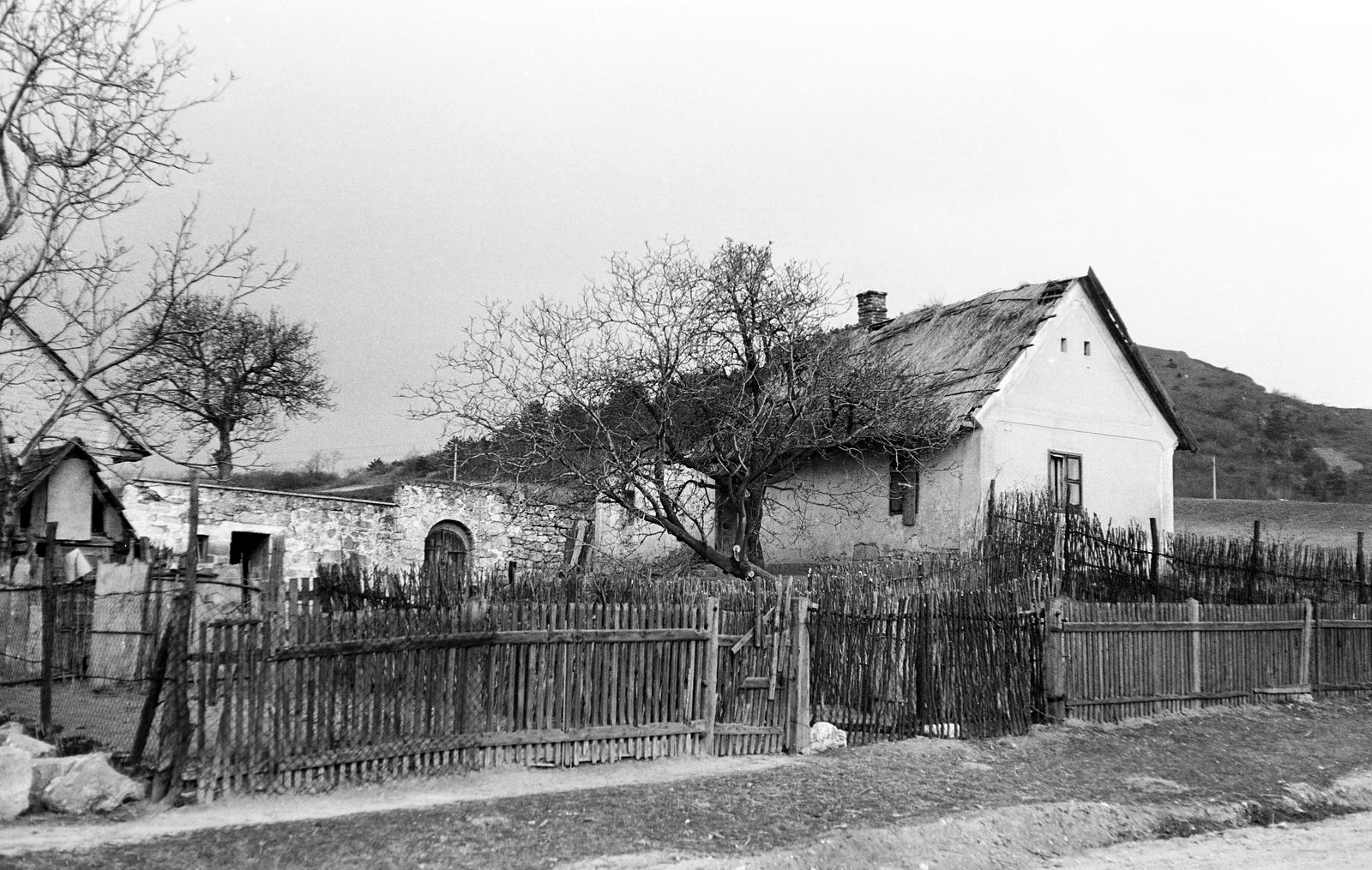Hungary, 1968, Gazda Anikó, Fortepan #307789