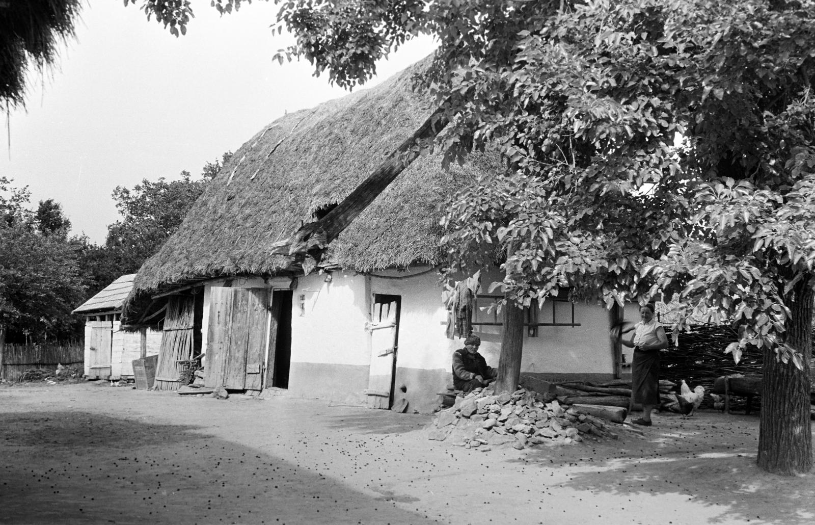 Magyarország, 1963, Gazda Anikó, zsúptető, Fortepan #307793