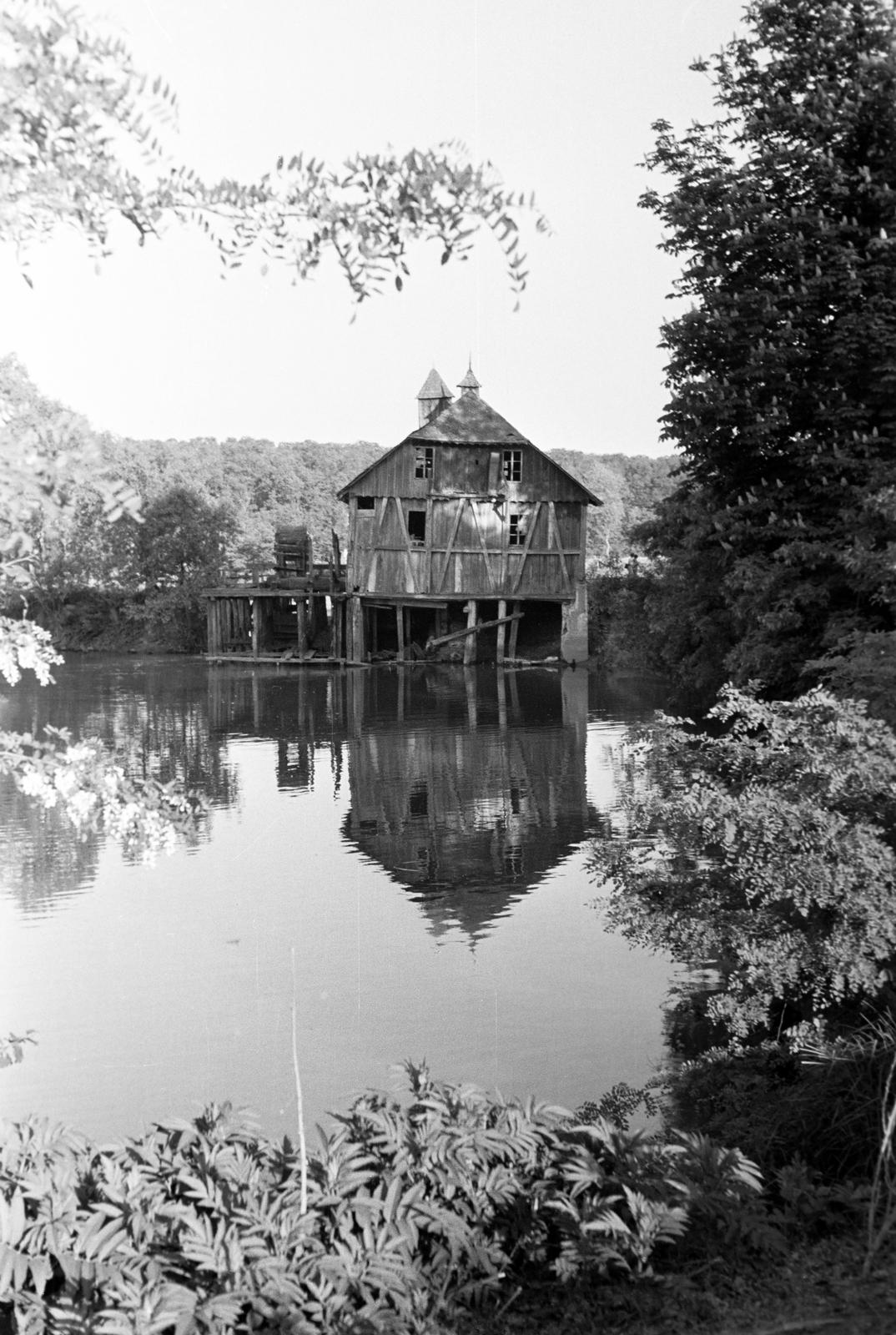 Magyarország, Túristvándi, vízimalom., 1963, Gazda Anikó, Fortepan #307795