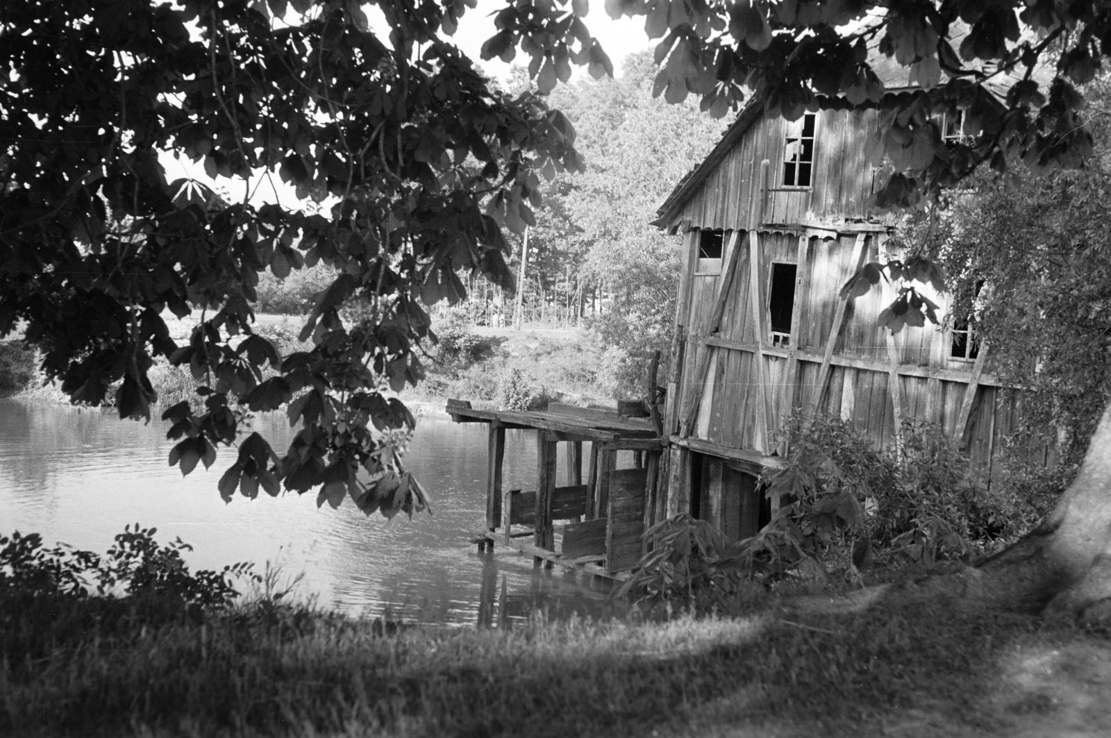 Magyarország, 1963, Gazda Anikó, Fortepan #307796