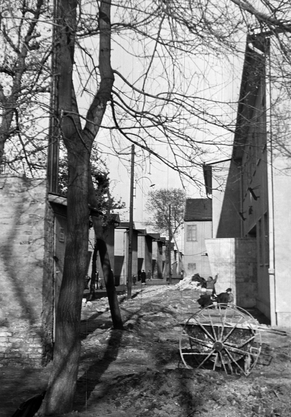 Magyarország, 1967, Gazda Anikó, Fortepan #307809