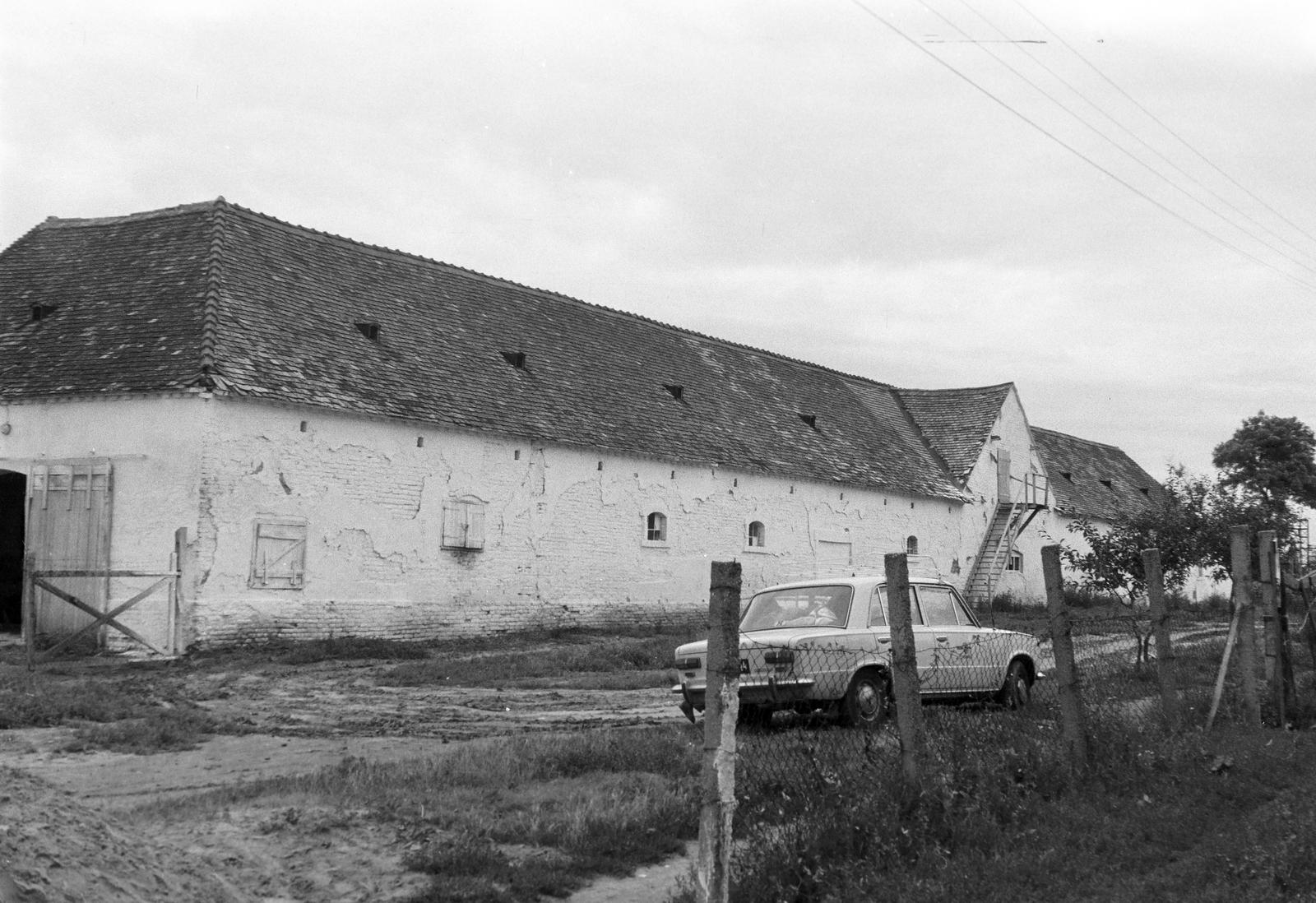 Magyarország, 1977, Gazda Anikó, Fortepan #307810