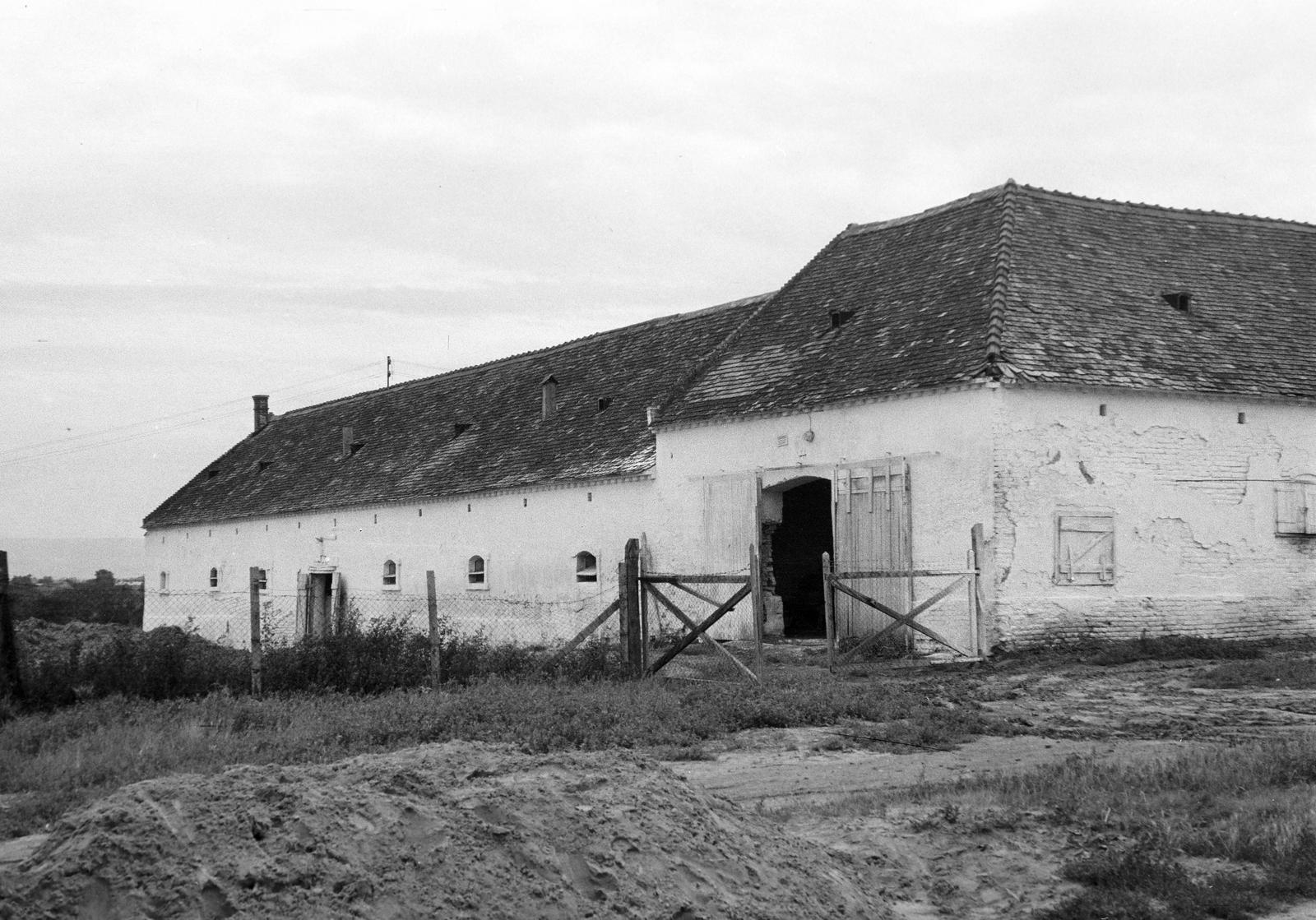 Magyarország, 1977, Gazda Anikó, Fortepan #307811