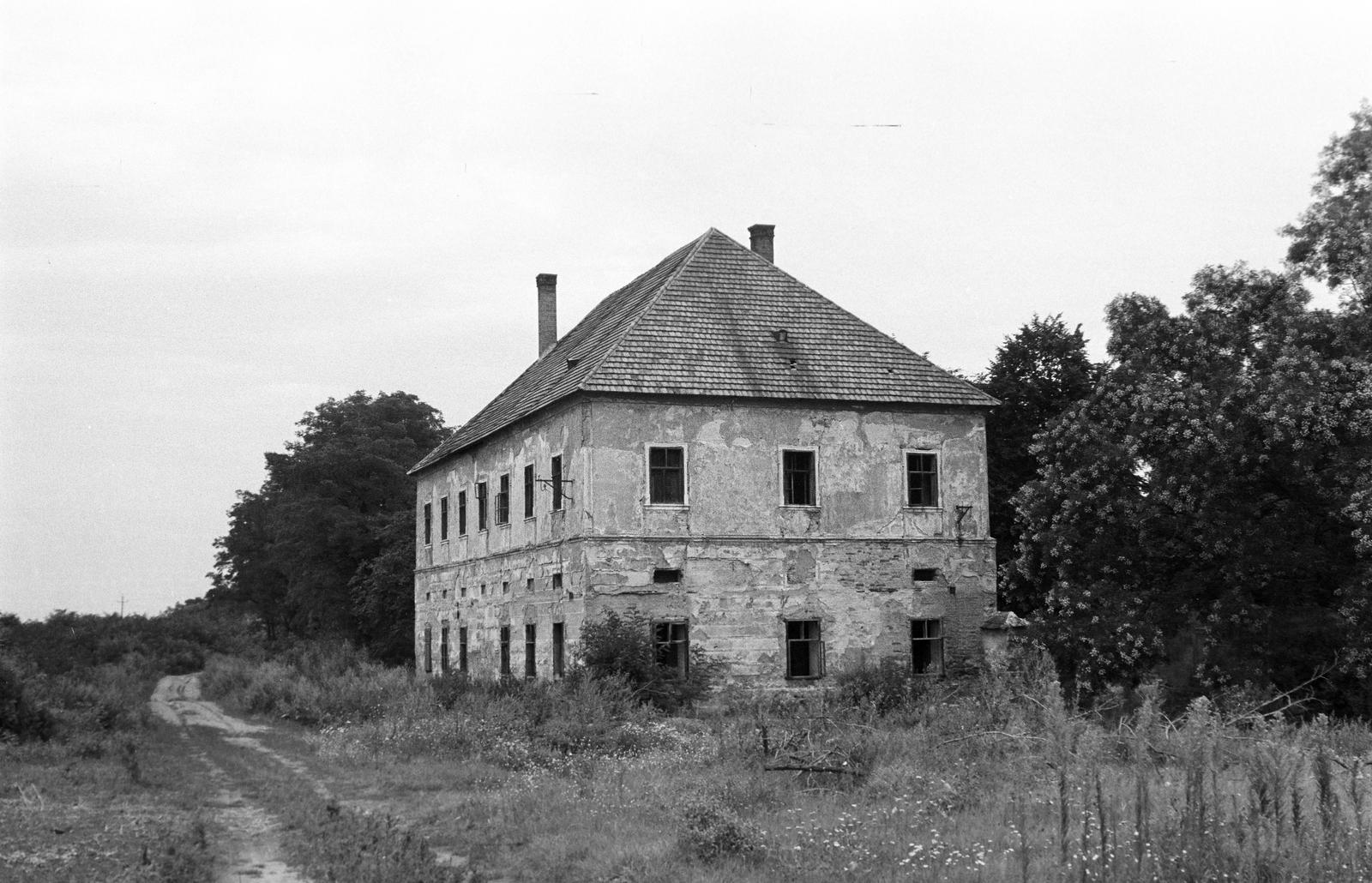 Magyarország, 1962, Gazda Anikó, Fortepan #307815
