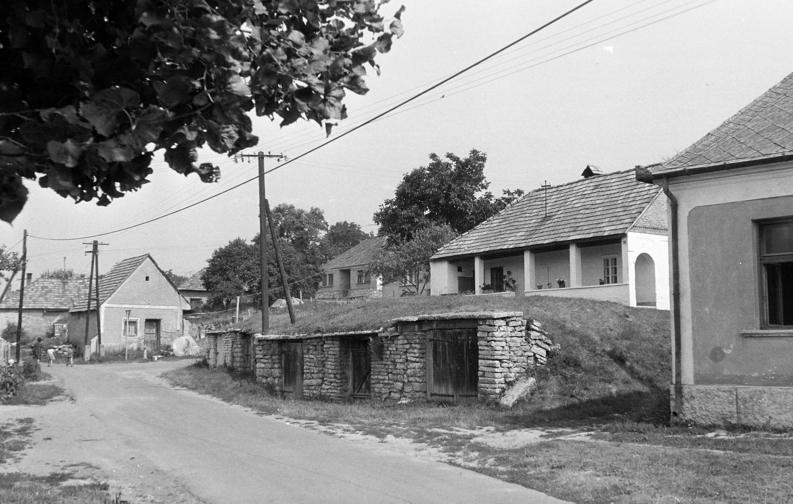 Magyarország, 1979, Gazda Anikó, Fortepan #307823