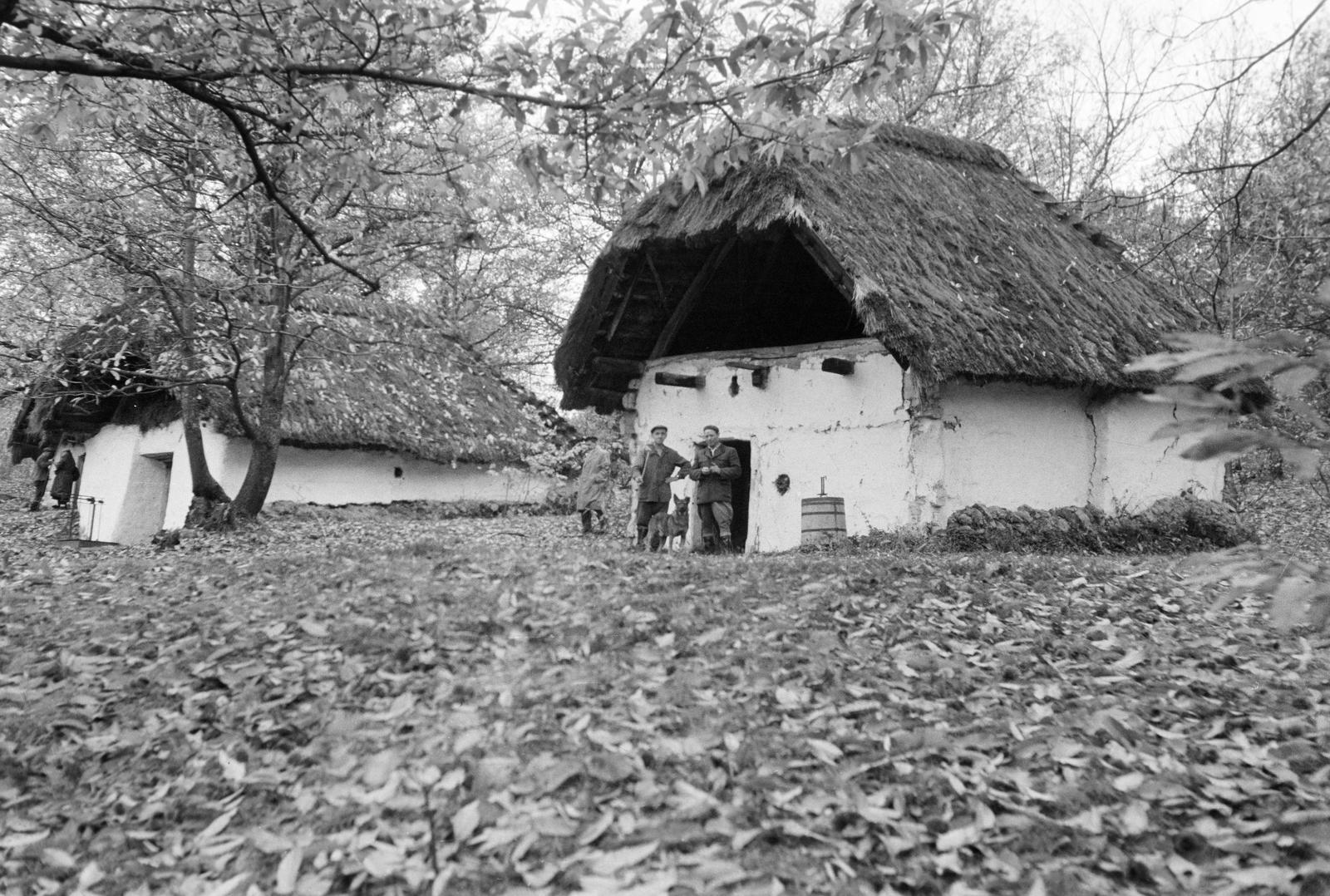 Hungary, 1961, Gazda Anikó, Fortepan #307824