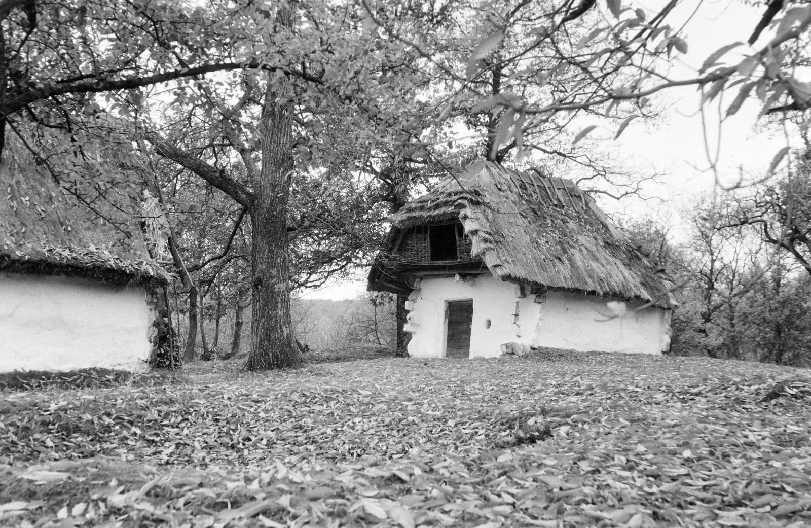 Hungary, 1961, Gazda Anikó, Fortepan #307825