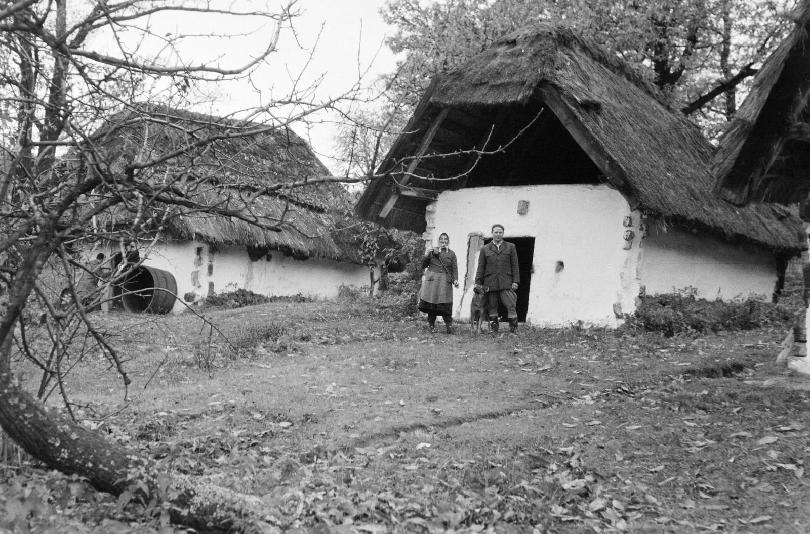 Hungary, 1961, Gazda Anikó, Best of, wine thief, farmhouse, thatch roof, dog, thatched roof, Fortepan #307828