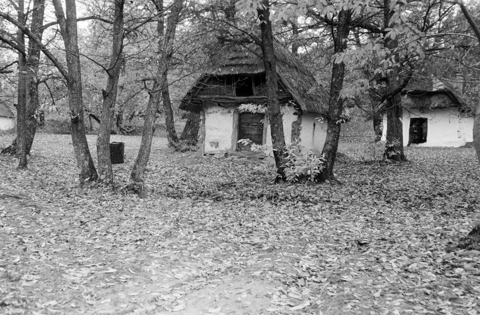 Magyarország, 1961, Gazda Anikó, Fortepan #307830