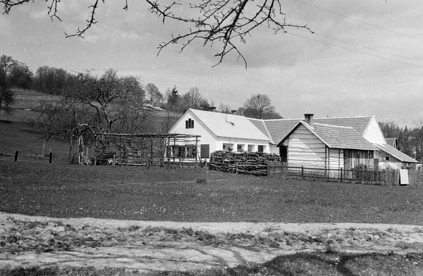 Magyarország, 1963, Gazda Anikó, lakóház, virágfuttató, fészer, farakás, Fortepan #307834