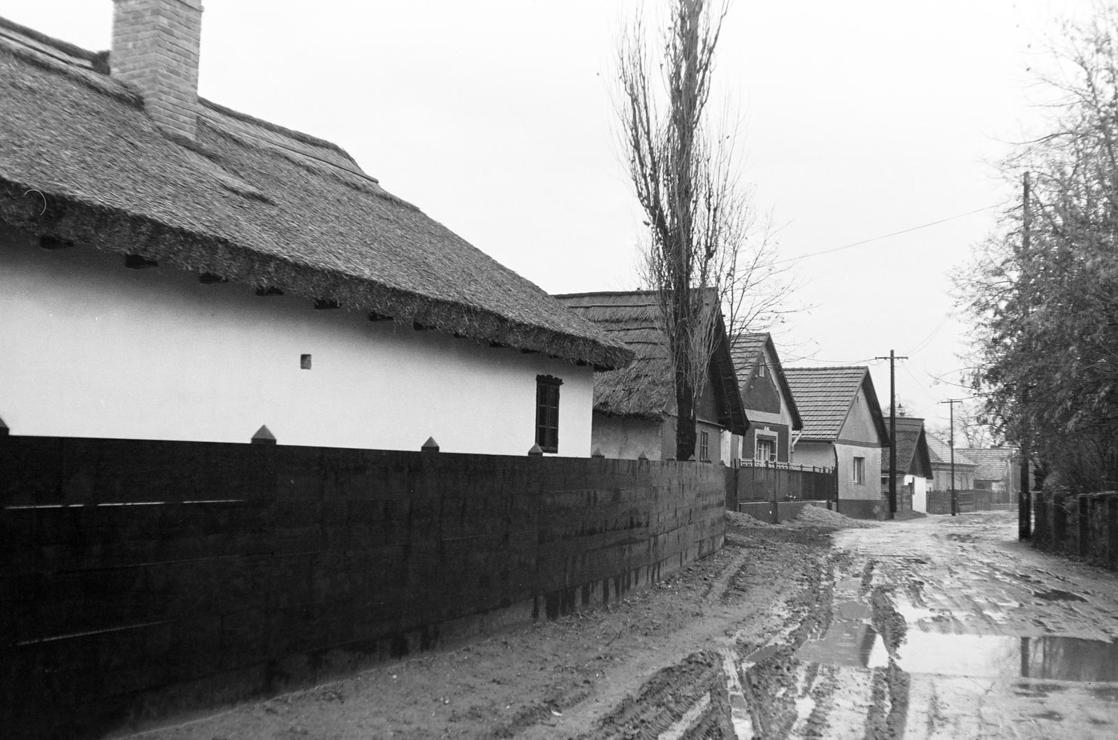 Magyarország, Ócsa, a későbbi Lőrinc utca., 1960, Gazda Anikó, nádtető, Fortepan #307838