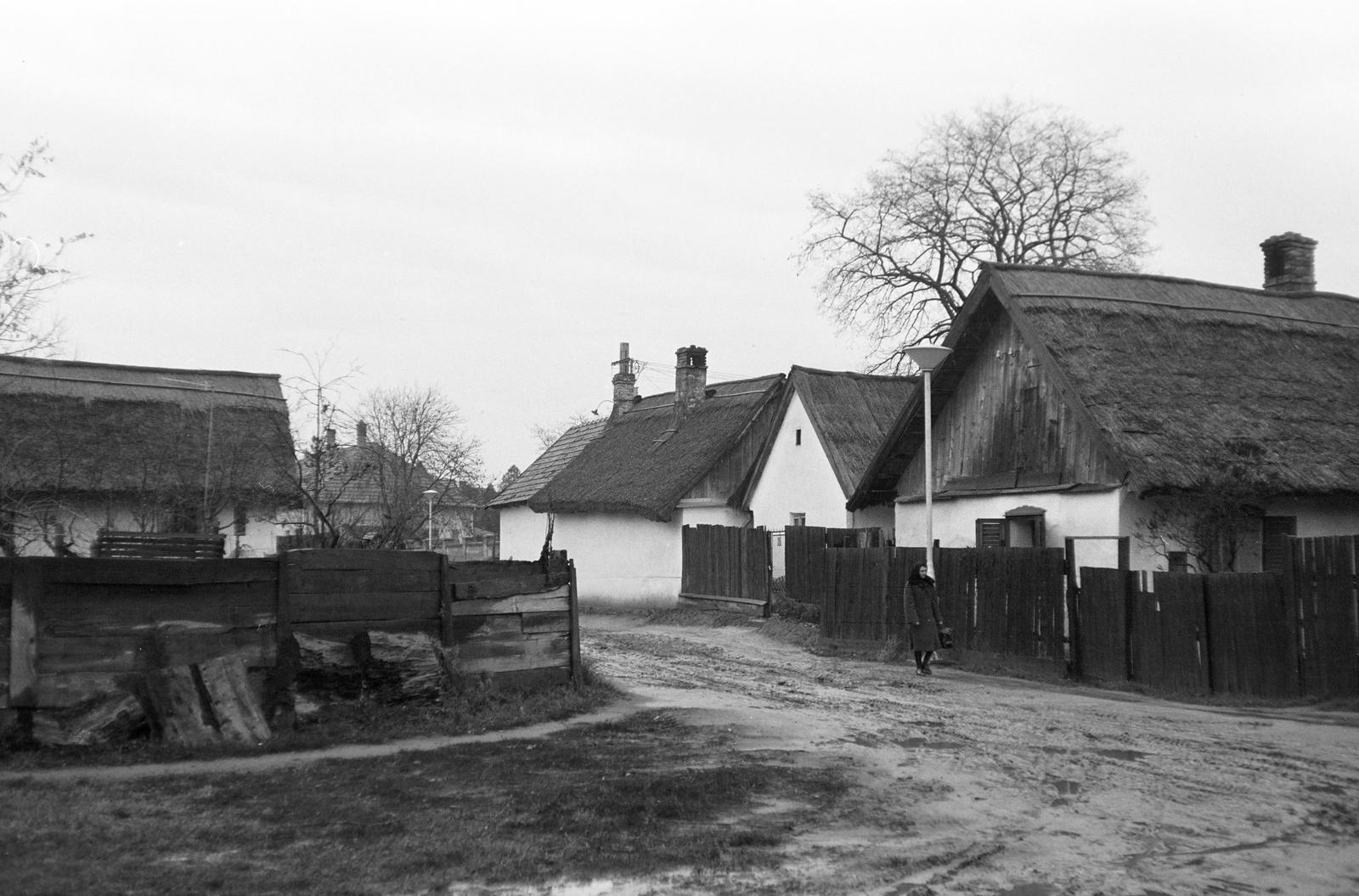 Magyarország, Ócsa, 1960, Gazda Anikó, Fortepan #307840