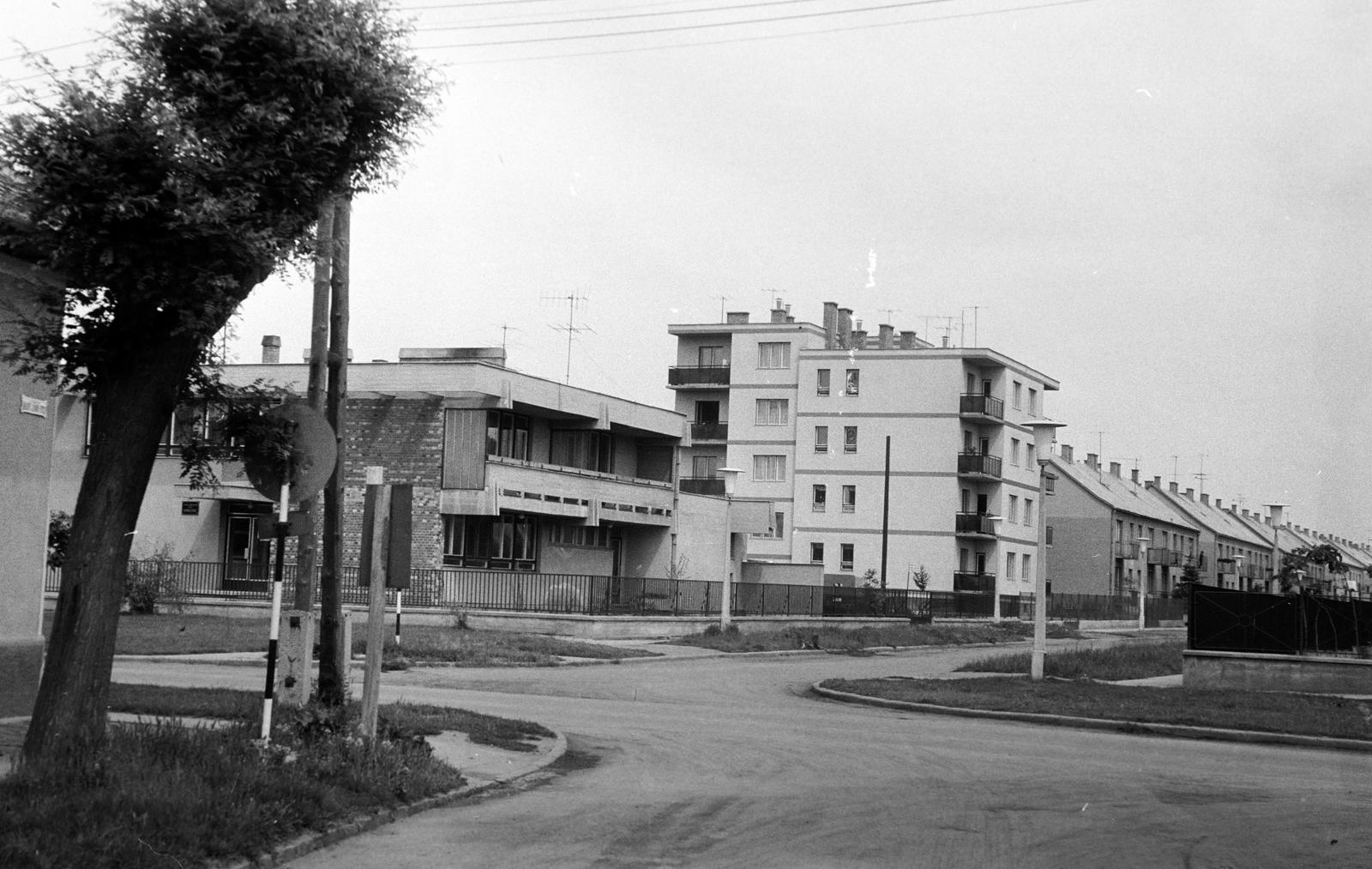 Hungary, 1973, Gazda Anikó, Fortepan #307845