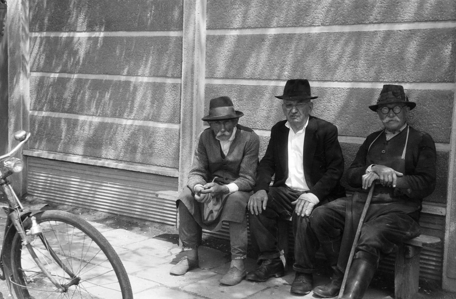 Hungary, 1973, Gazda Anikó, Fortepan #307847