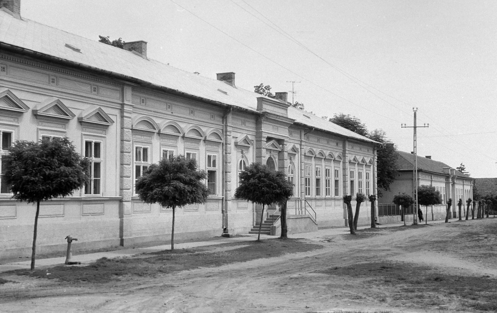 Hungary, 1973, Gazda Anikó, Fortepan #307848