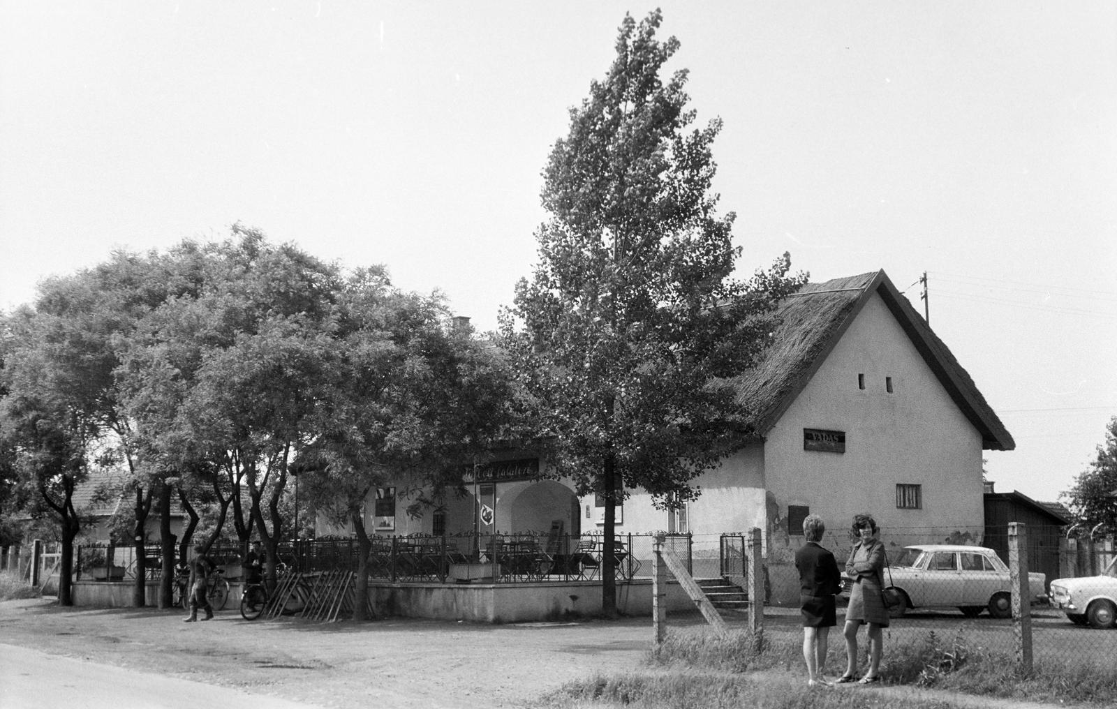 Hungary, 1973, Gazda Anikó, Fortepan #307849