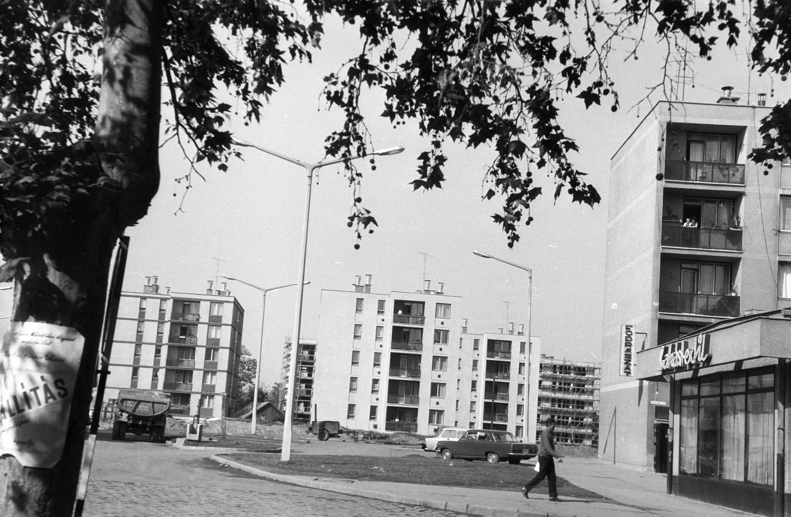 Hungary, 1973, Gazda Anikó, Fortepan #307850