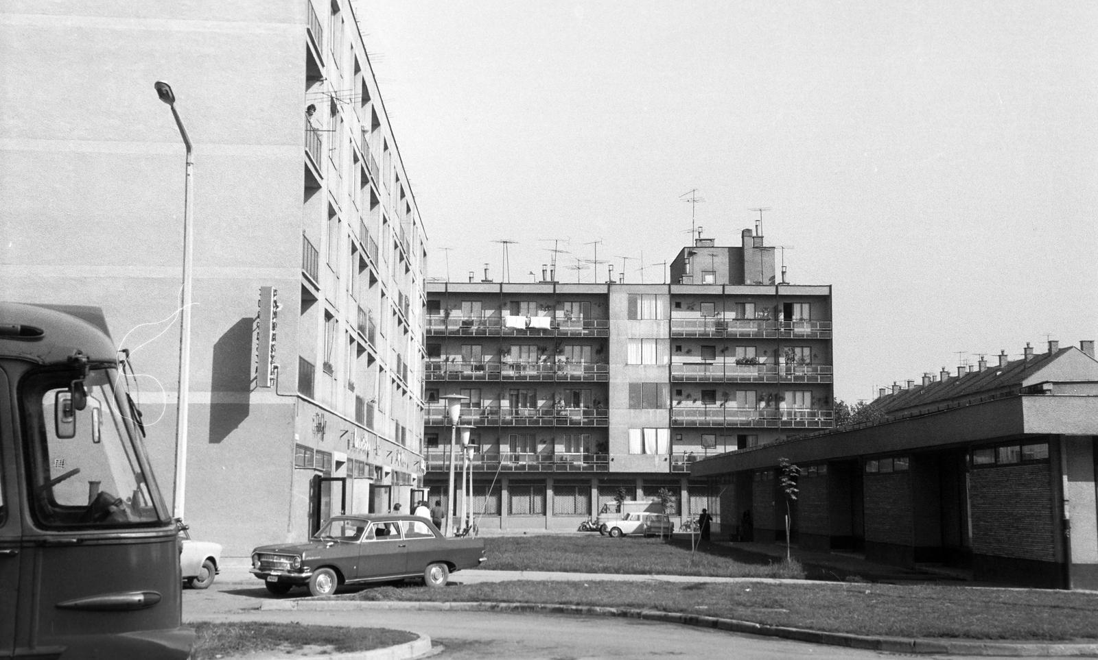 Magyarország, 1973, Gazda Anikó, Fortepan #307852