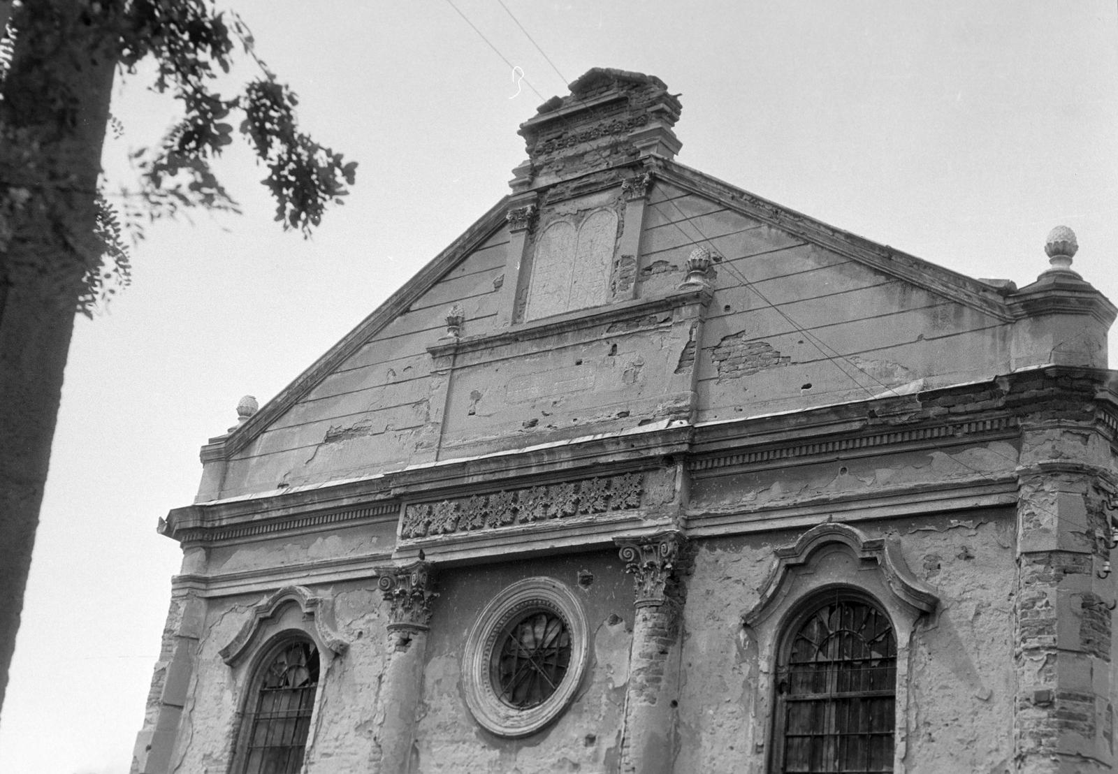 Magyarország, 1966, Gazda Anikó, Fortepan #307854