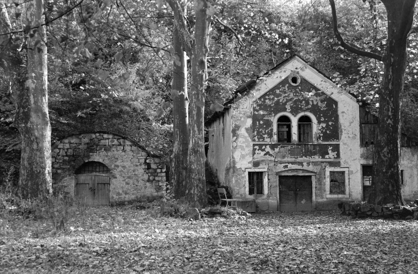 Magyarország, 1975, Gazda Anikó, Fortepan #307859