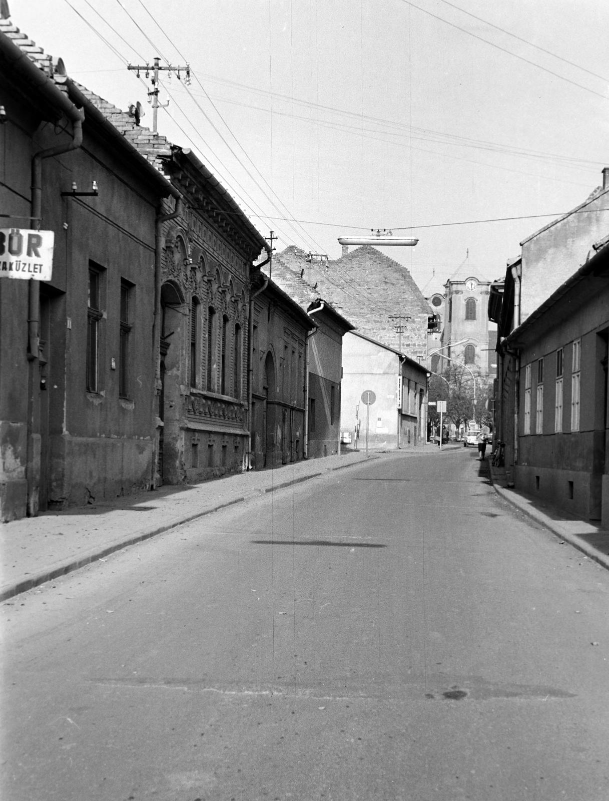 Magyarország, 1972, Gazda Anikó, Fortepan #307865