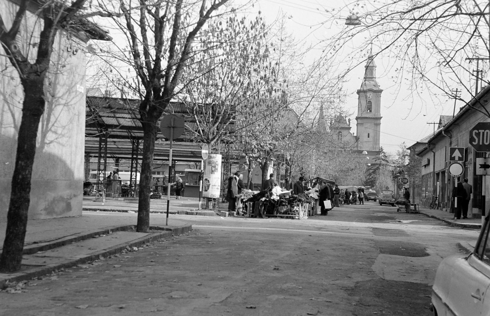 Hungary, 1972, Gazda Anikó, Fortepan #307866