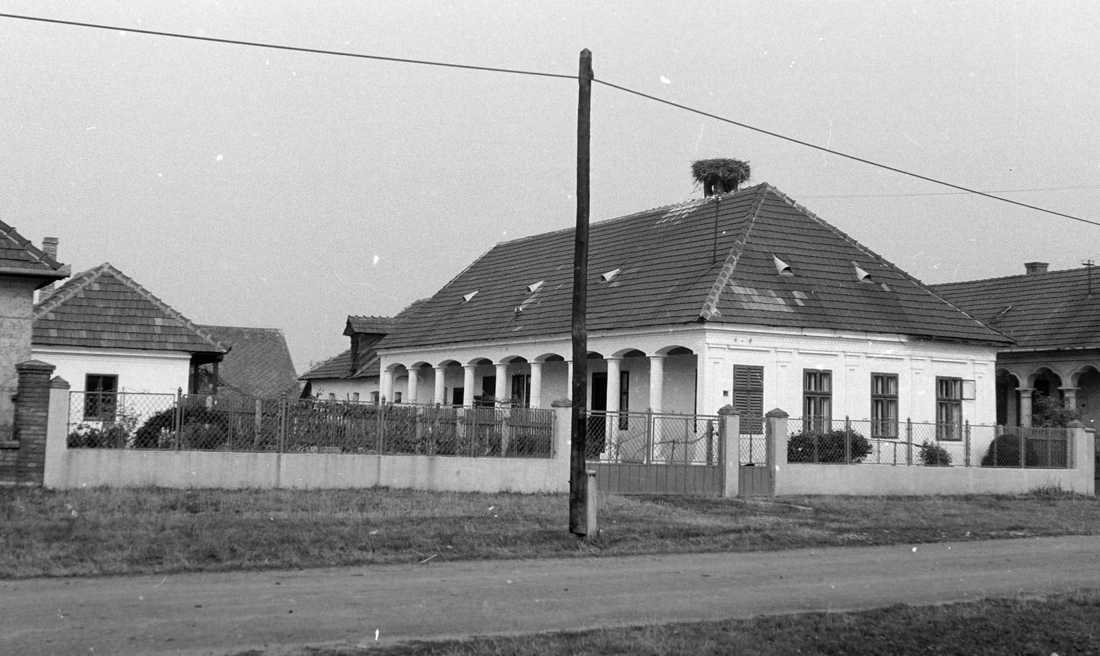 Magyarország, 1976, Gazda Anikó, Fortepan #307877