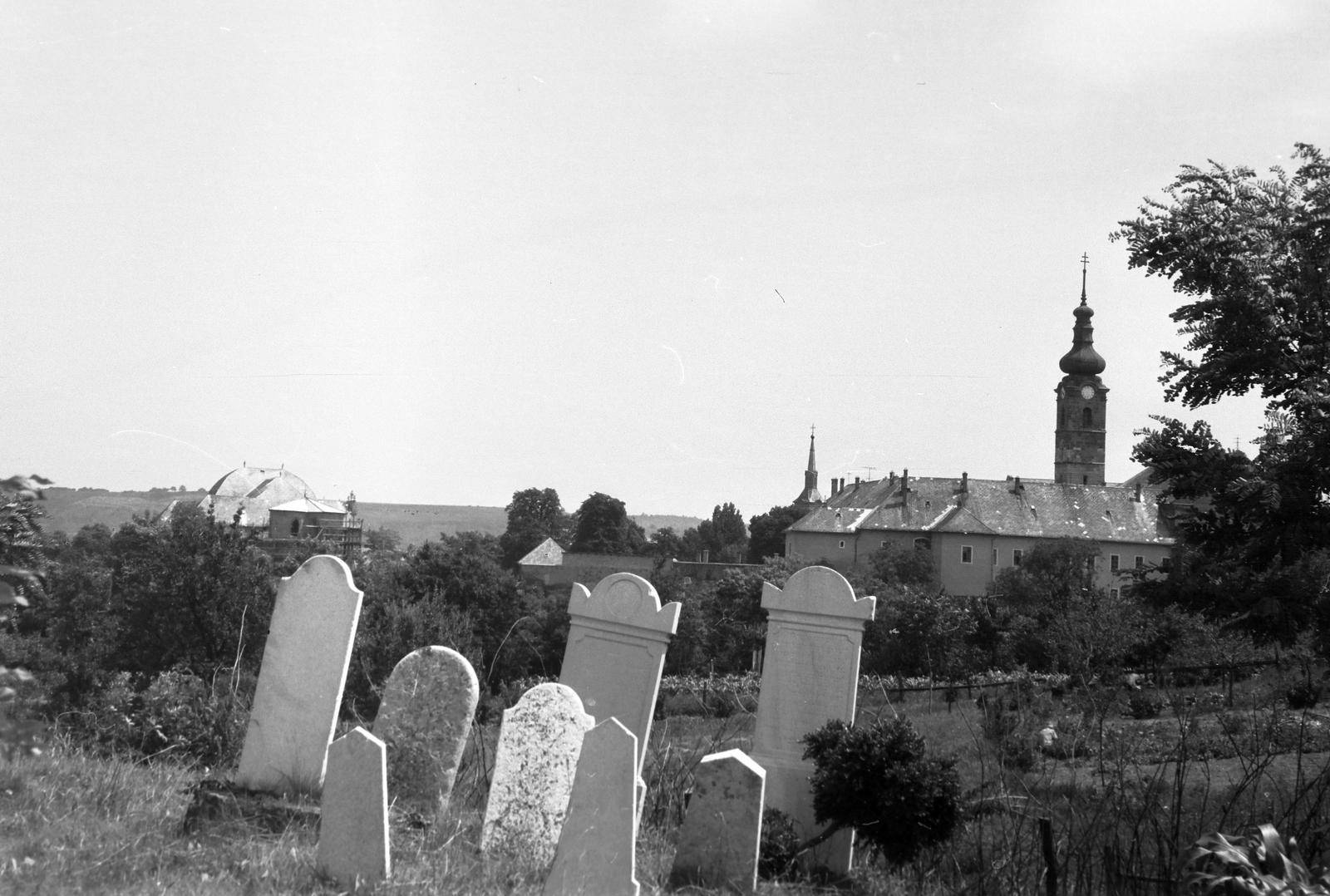 Magyarország, 1976, Gazda Anikó, Fortepan #307882