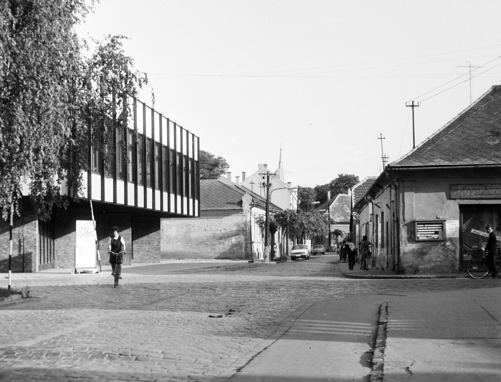 Hungary, 1971, Gazda Anikó, Fortepan #307884