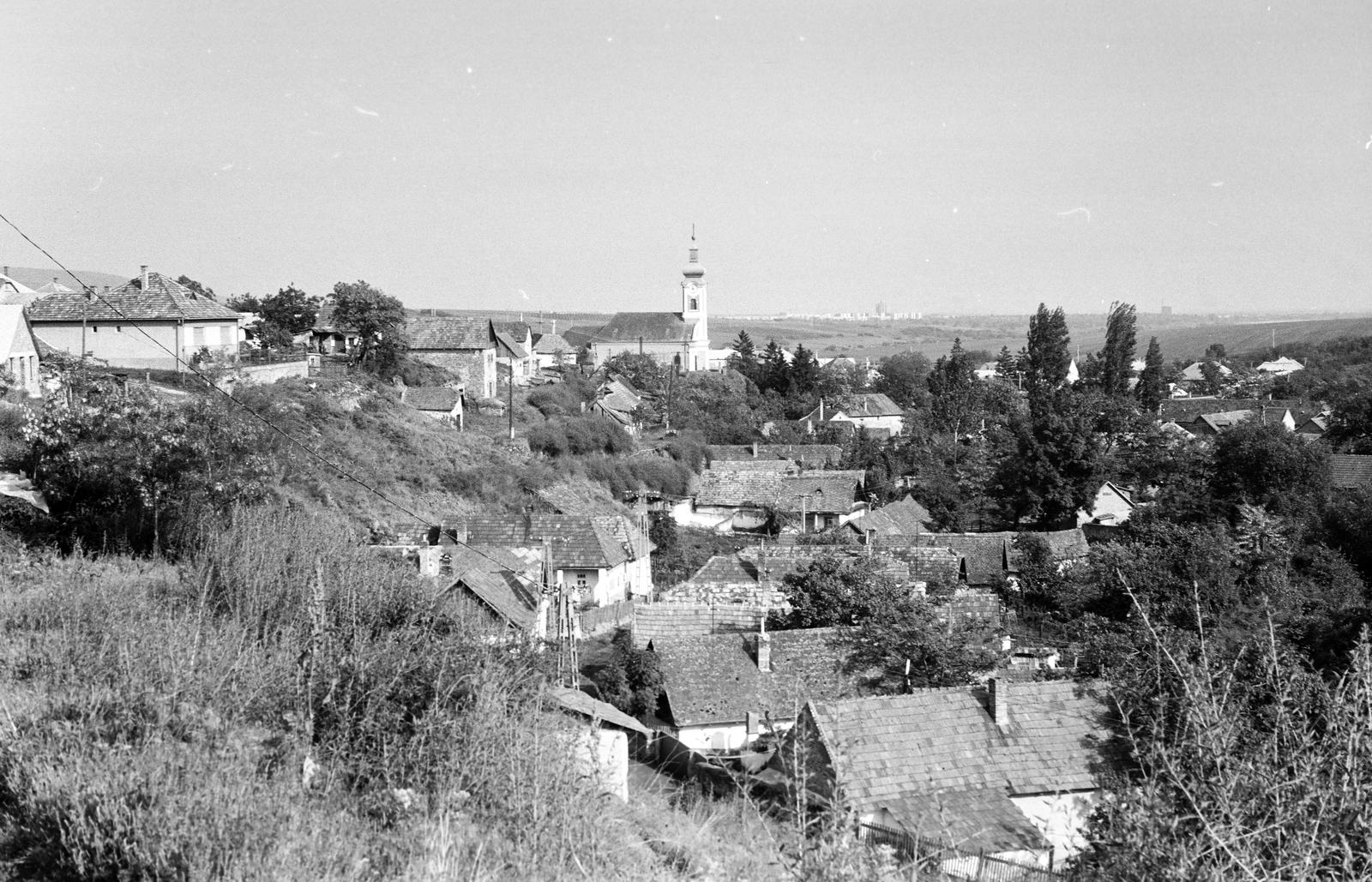 Hungary, untitled, a felvétel a Széchenyi István utca környékén készült, szemben a Mindenszentek-templom. Távolban Gyöngyös városának épületei láthatók., 1971, Gazda Anikó, Fortepan #307890