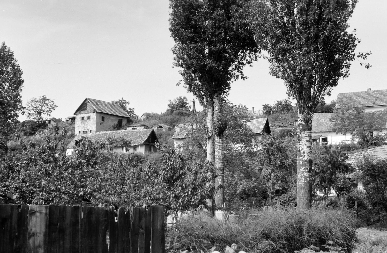 Hungary, untitled, Széchenyi István utca., 1971, Gazda Anikó, Fortepan #307892