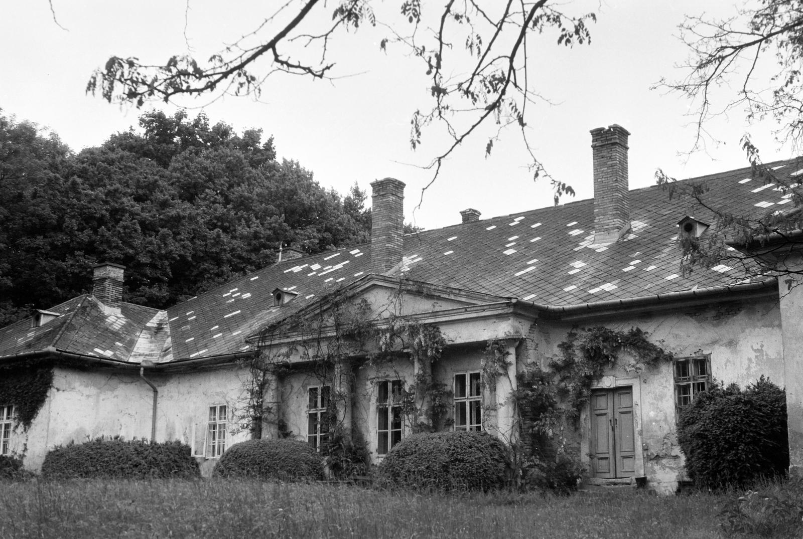 Hungary, untitled, Fajzatpuszta, Almássy-Jean Perry kastély., 1971, Gazda Anikó, slate roof, Fortepan #307894