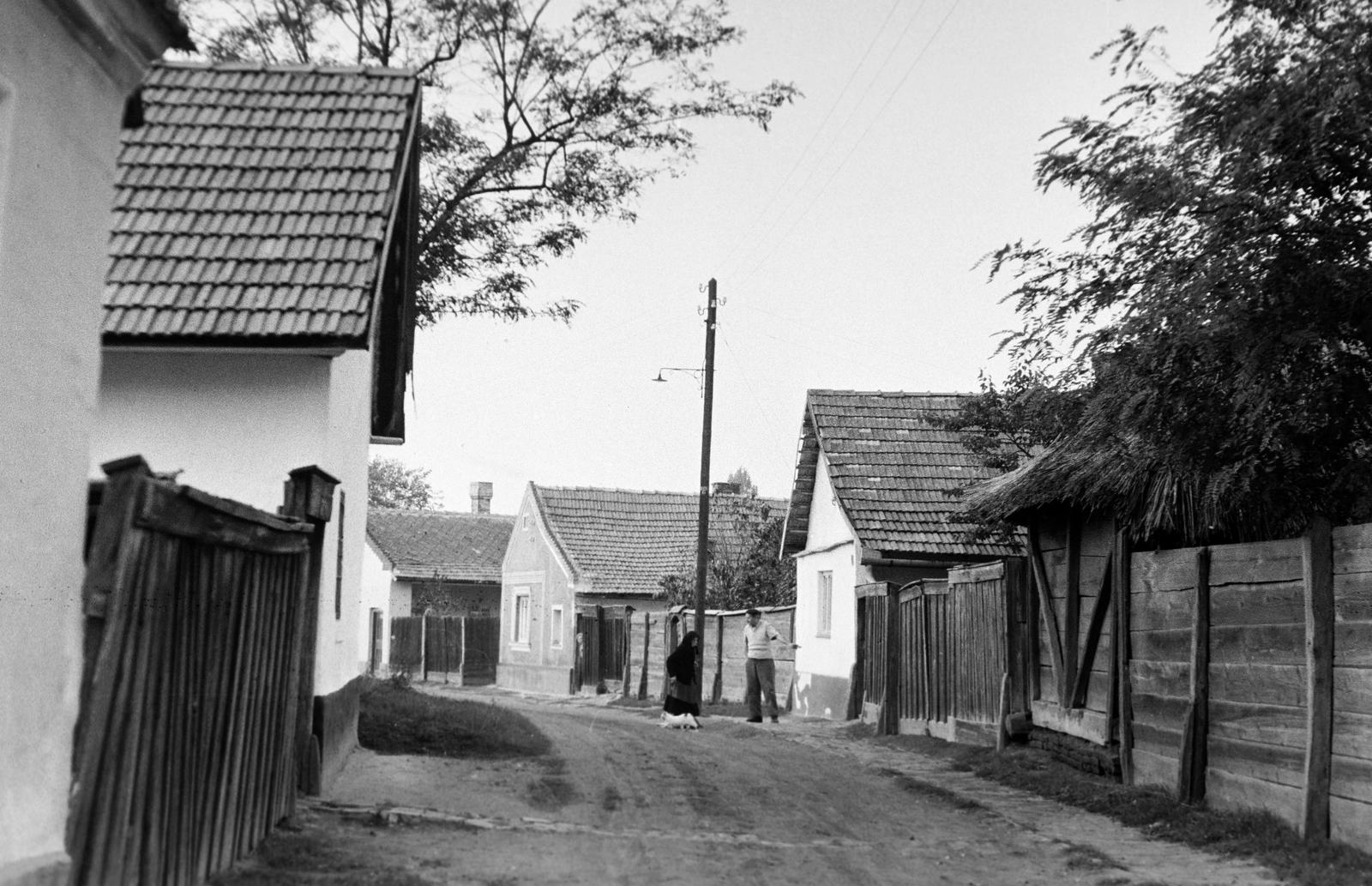 Magyarország, 1970, Gazda Anikó, Fortepan #307909