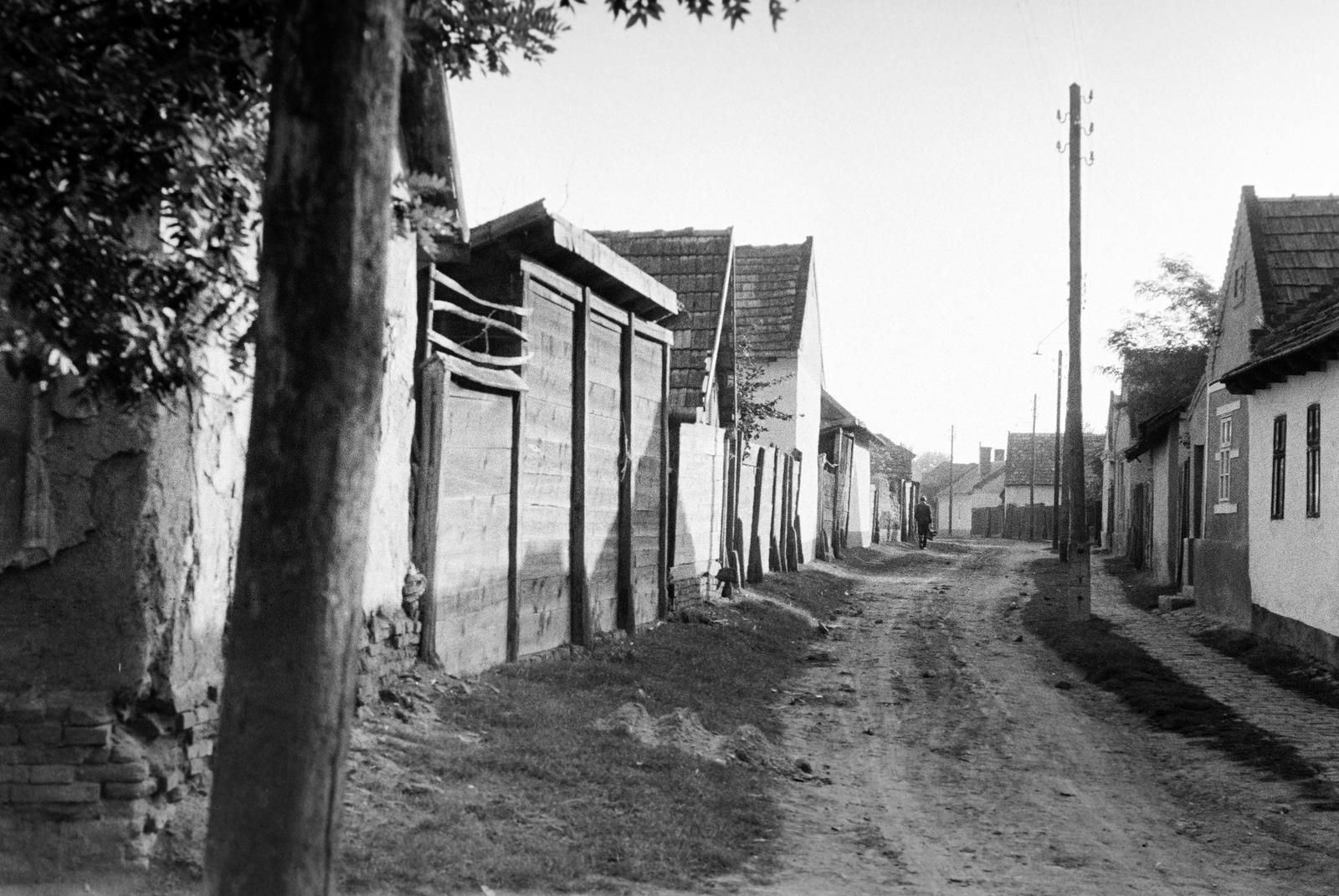 Magyarország, 1970, Gazda Anikó, utcakép, földút, Fortepan #307911