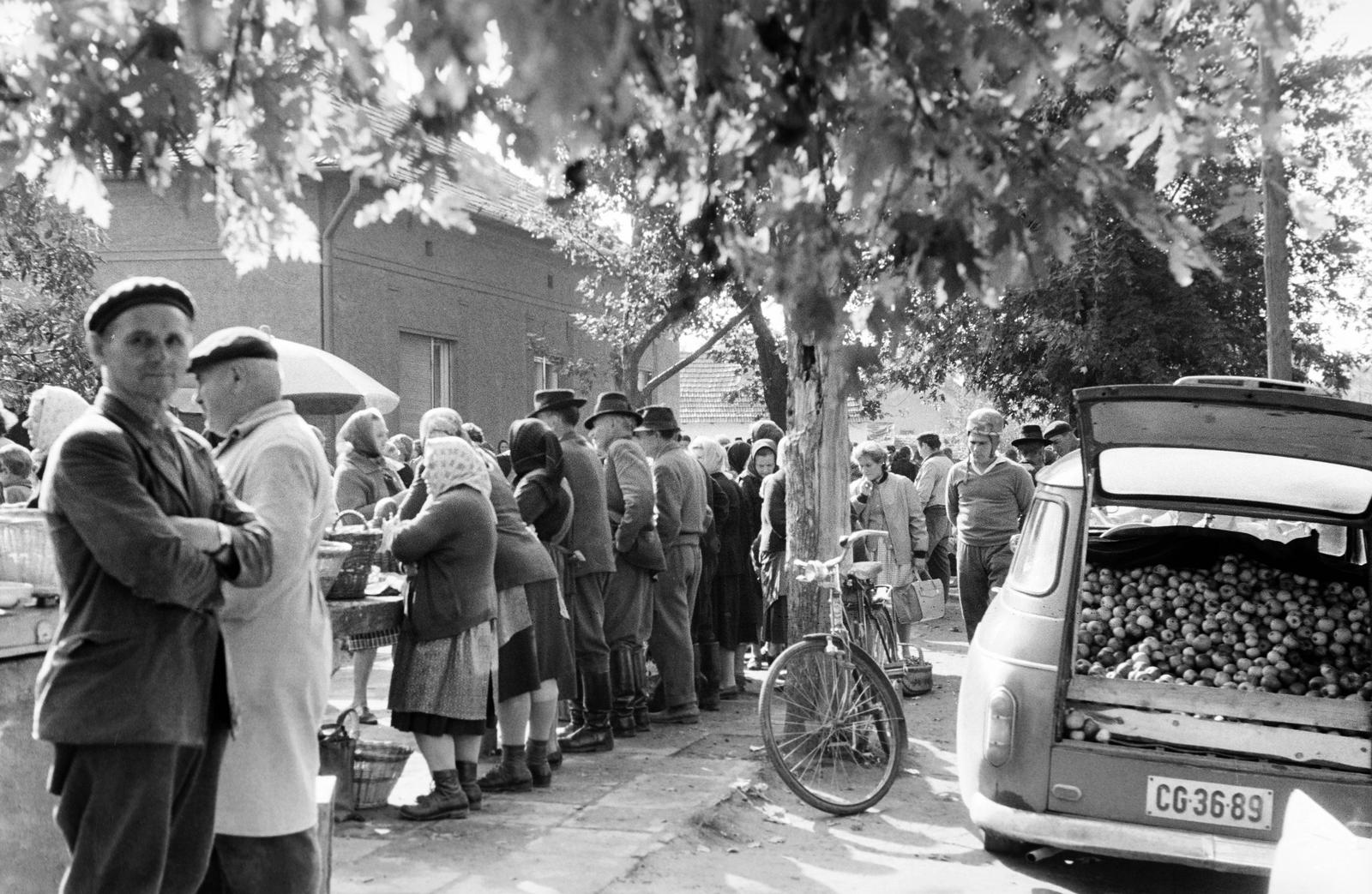 Hungary, 1967, Gazda Anikó, Best of, market, number plate, back, fruit, seller, bicycle, Skoda-brand, Fortepan #307916