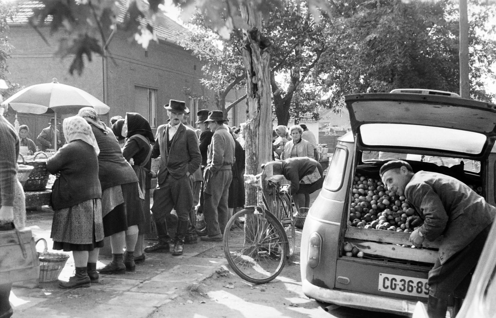 Magyarország, 1967, Gazda Anikó, Fortepan #307917