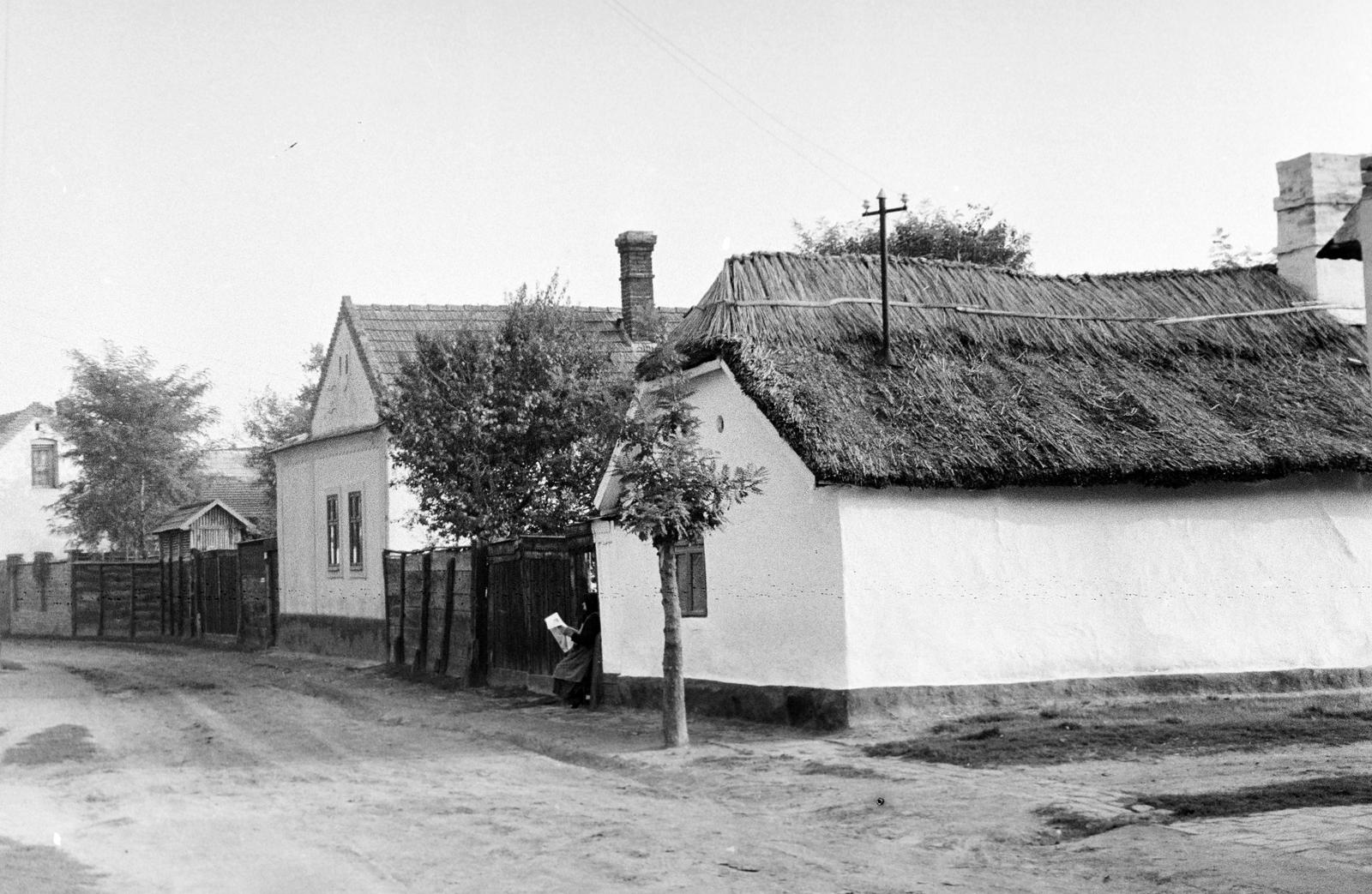 Magyarország, 1967, Gazda Anikó, Fortepan #307919