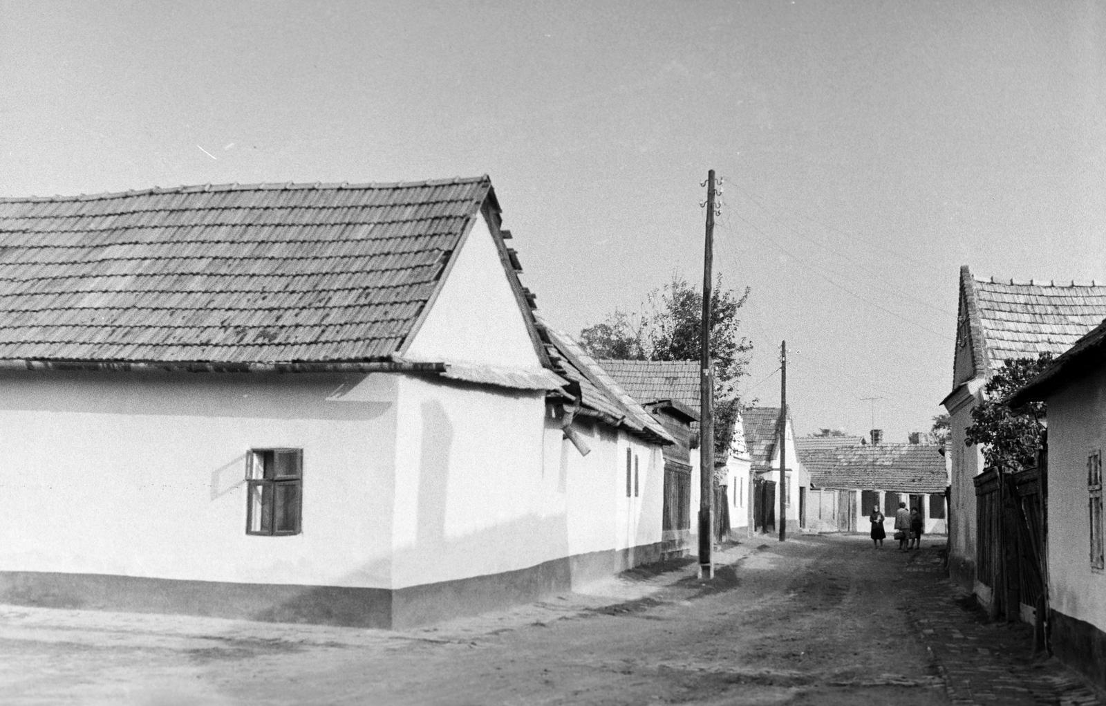 Magyarország, 1967, Gazda Anikó, Fortepan #307920