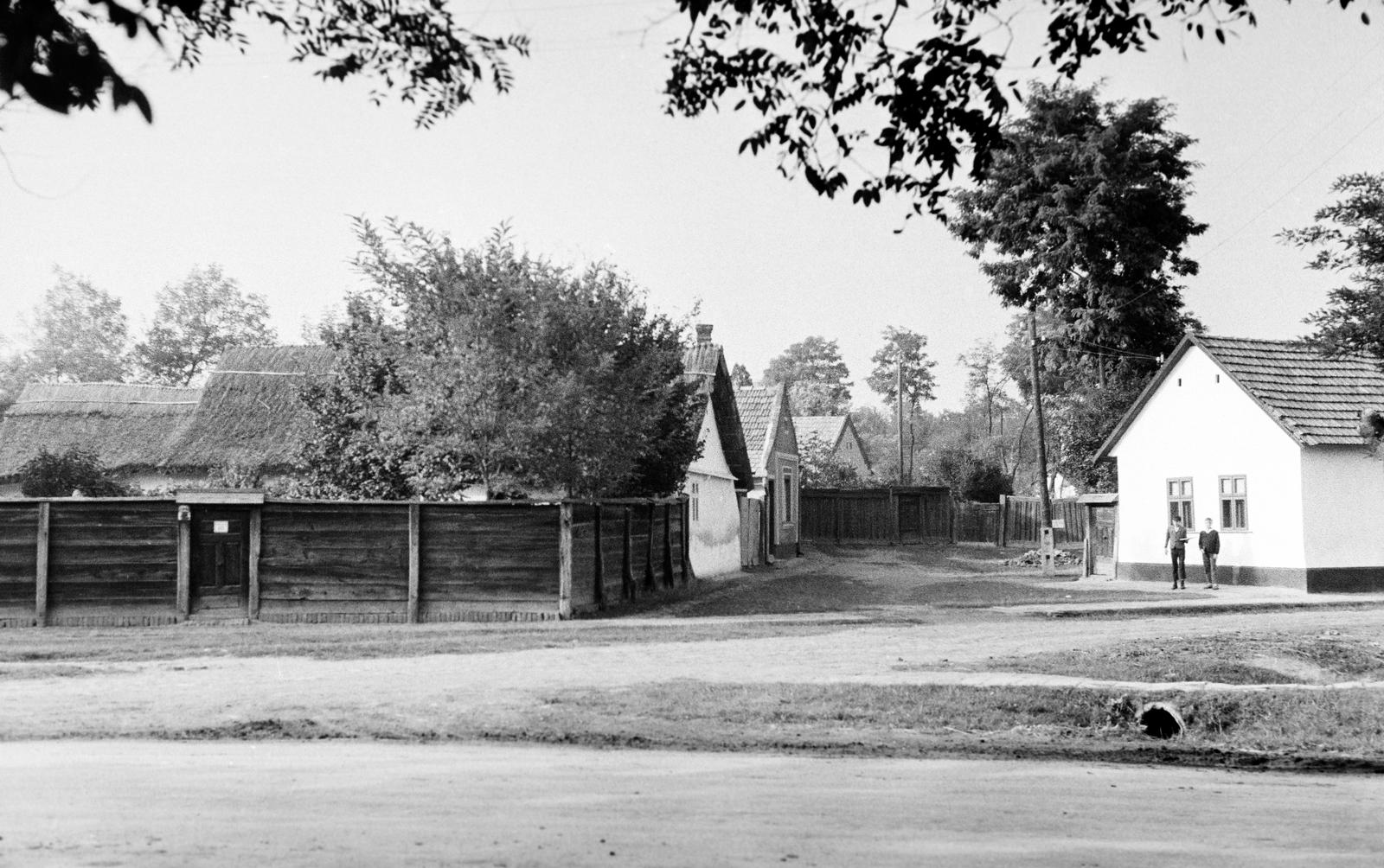 Hungary, 1967, Gazda Anikó, Fortepan #307921