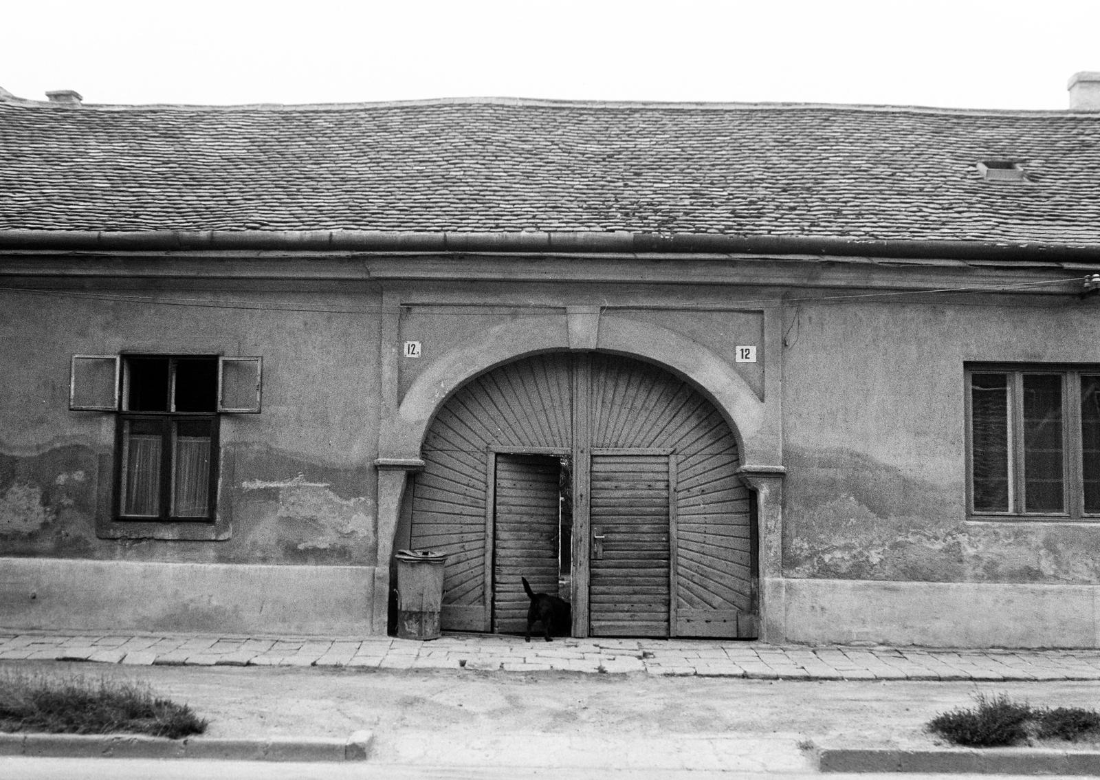 Magyarország, 1974, Gazda Anikó, ajtó, boltív, kapu, házszám, Fortepan #307925