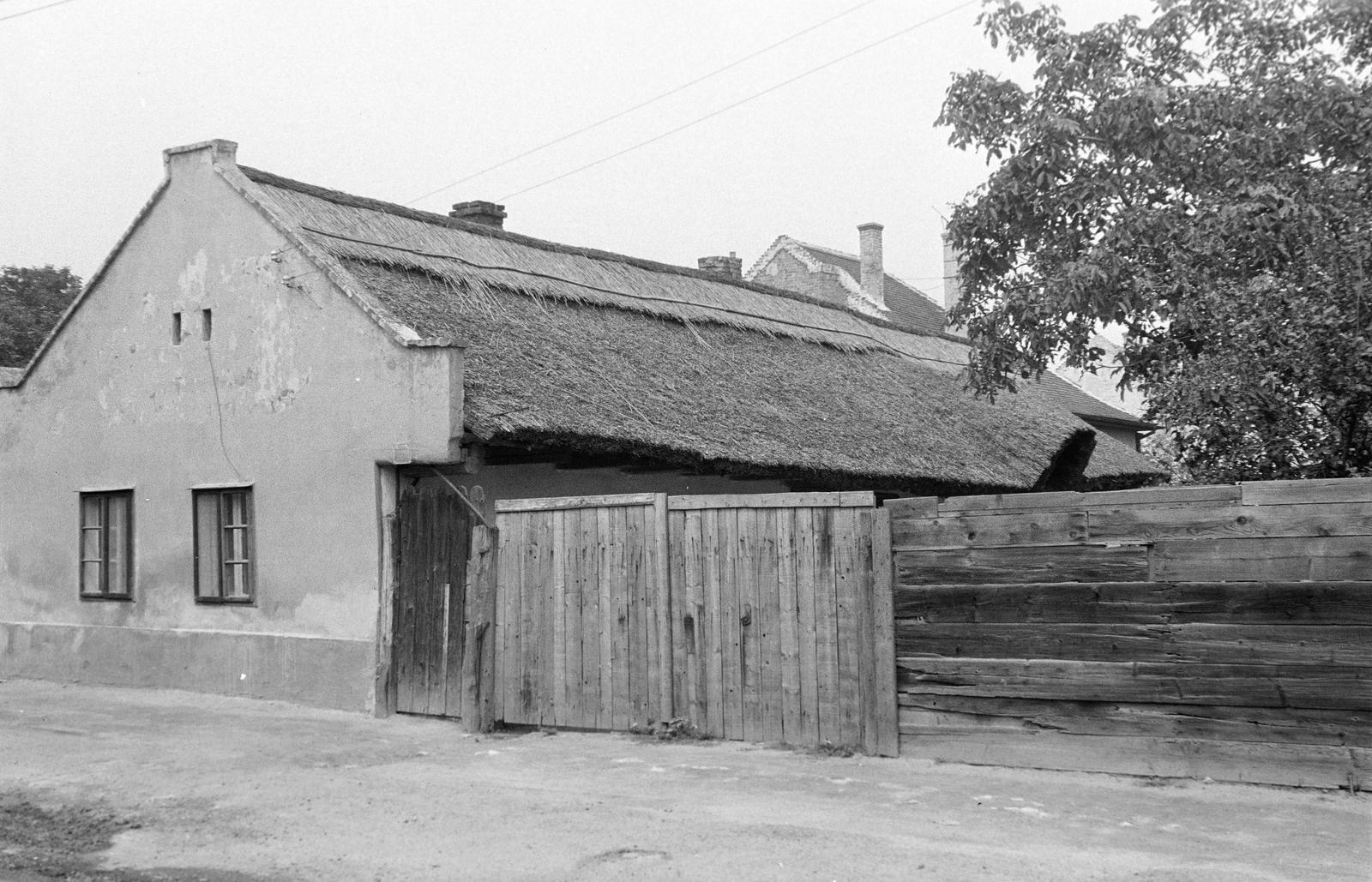 Magyarország, 1974, Gazda Anikó, Fortepan #307927
