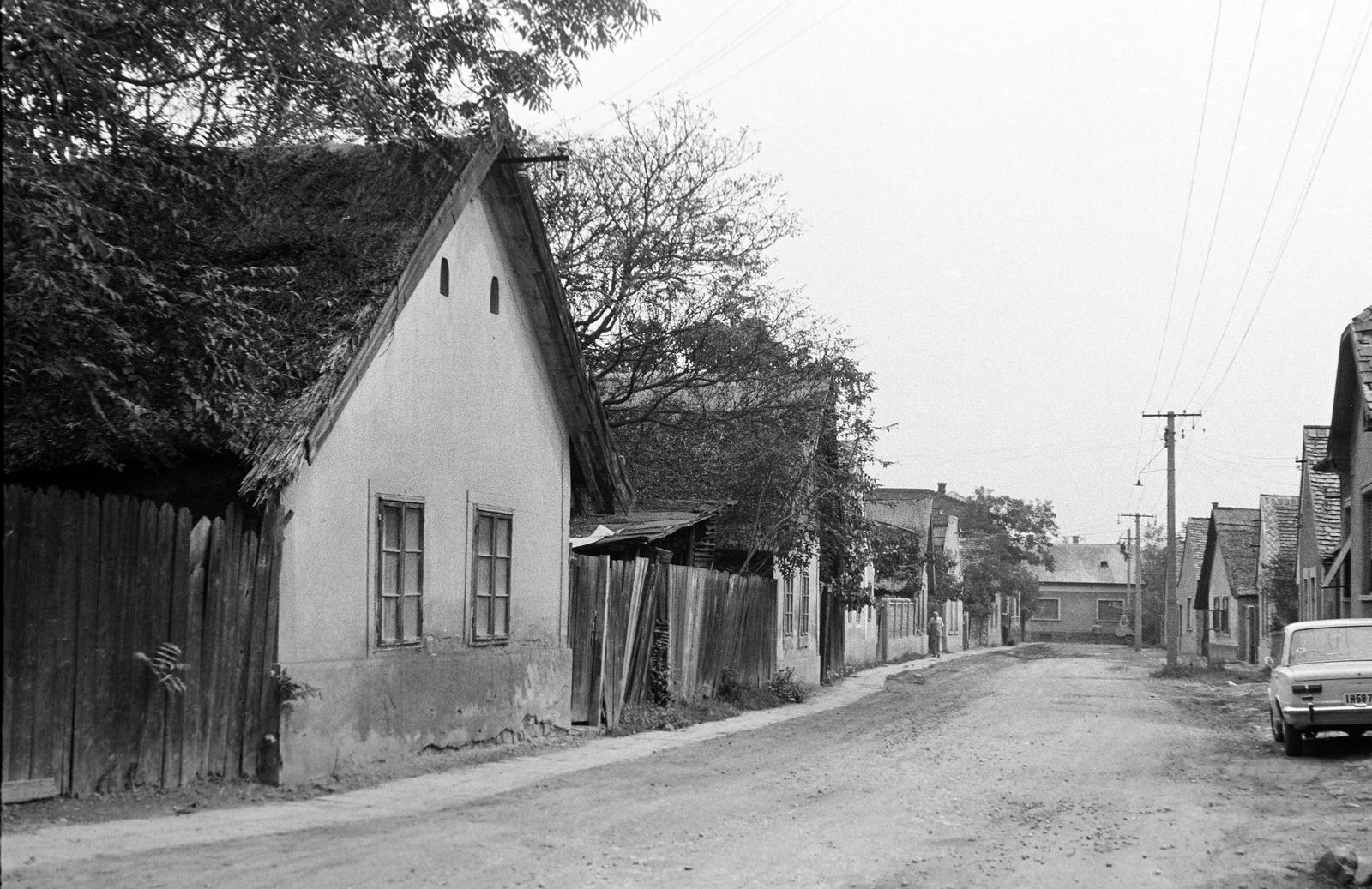 Magyarország, 1974, Gazda Anikó, Fortepan #307928