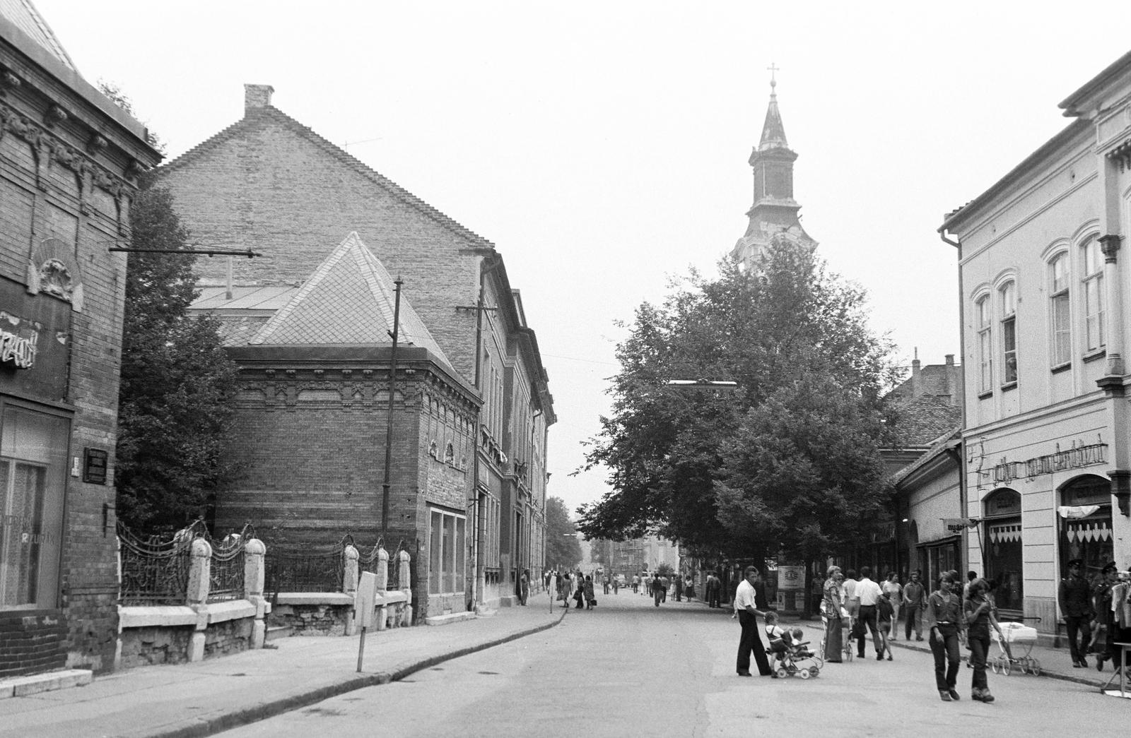 Magyarország, 1976, Gazda Anikó, Fortepan #307940