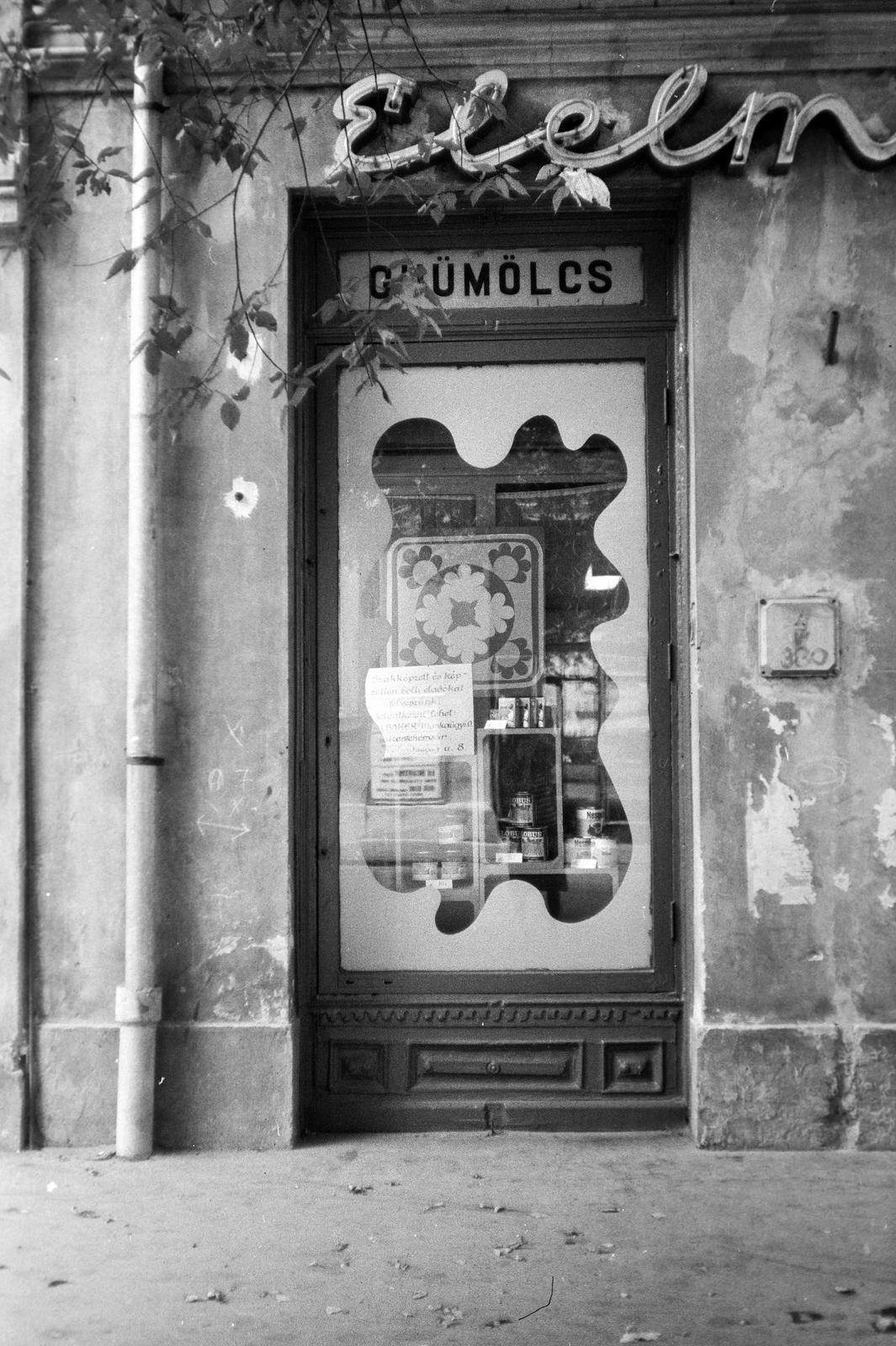 Magyarország, 1976, Gazda Anikó, kirakat, konzerv, Globus-márka, Fortepan #307942