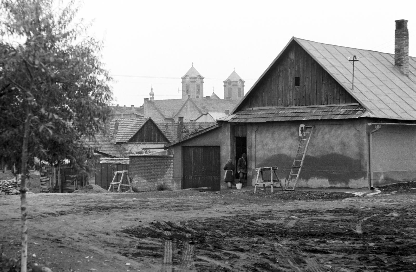 Magyarország, 1966, Gazda Anikó, Fortepan #307946