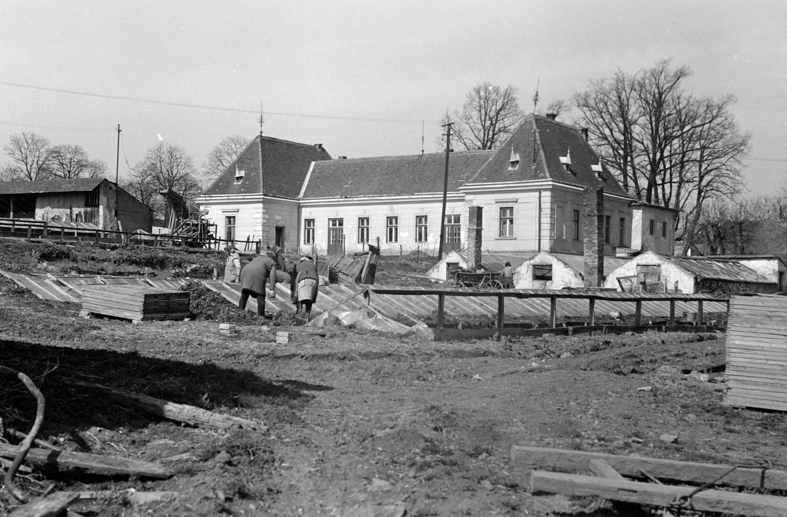 Magyarország, 1966, Gazda Anikó, Fortepan #307954